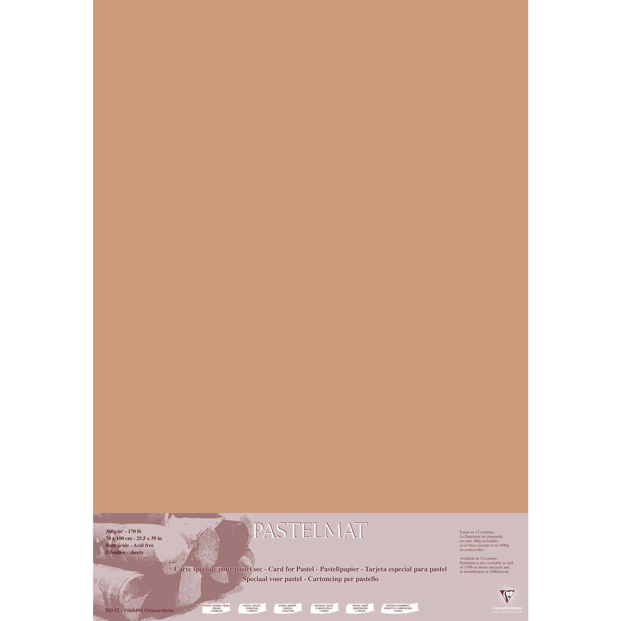 Clairefontaine Pastelmat Pastellmalerei, 5 Bogen 70x100 cm, 360g Siena 296012C