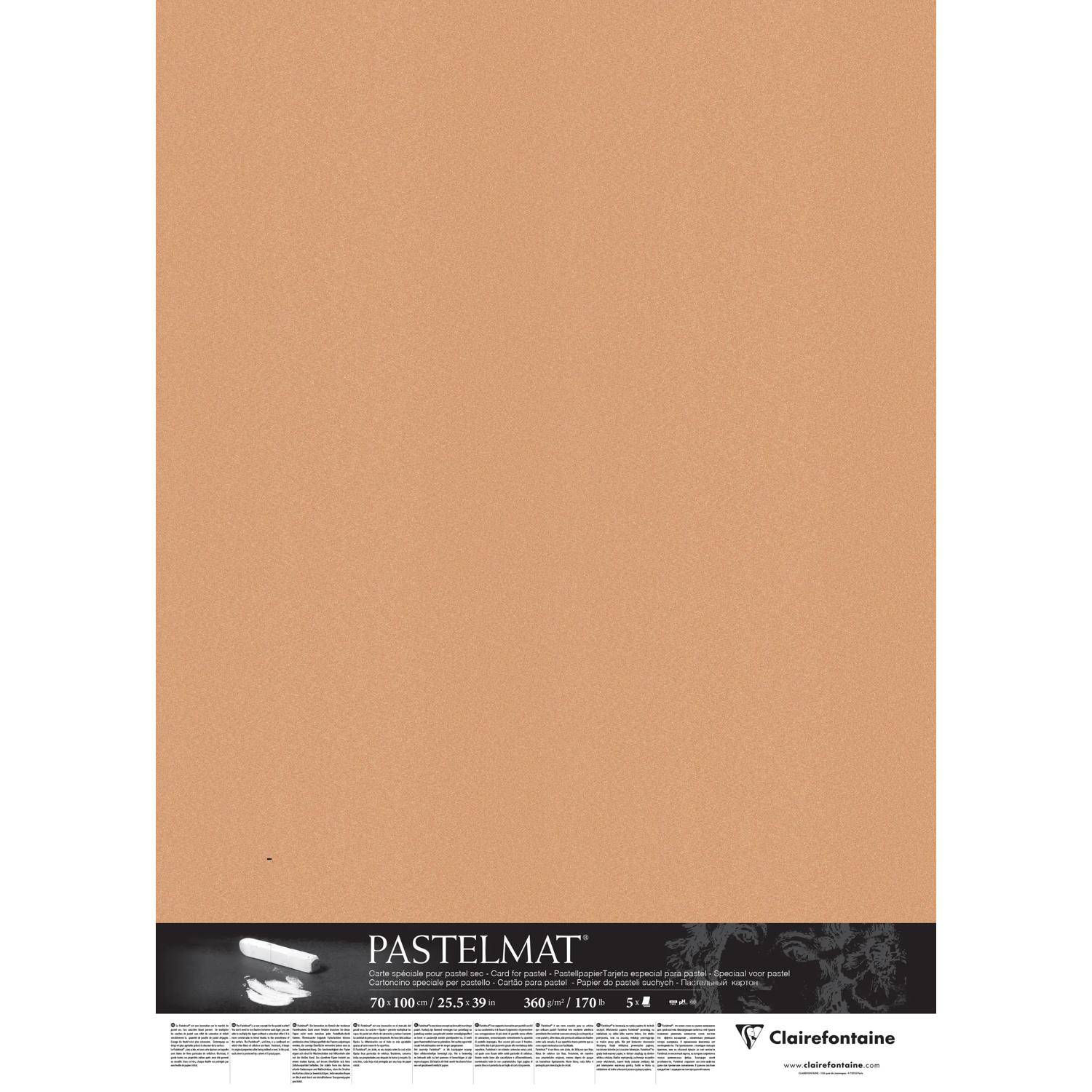 Clairefontaine Pastelmat Pastellmalerei, 5 Bogen 70x100 cm, 360g Siena 296012C