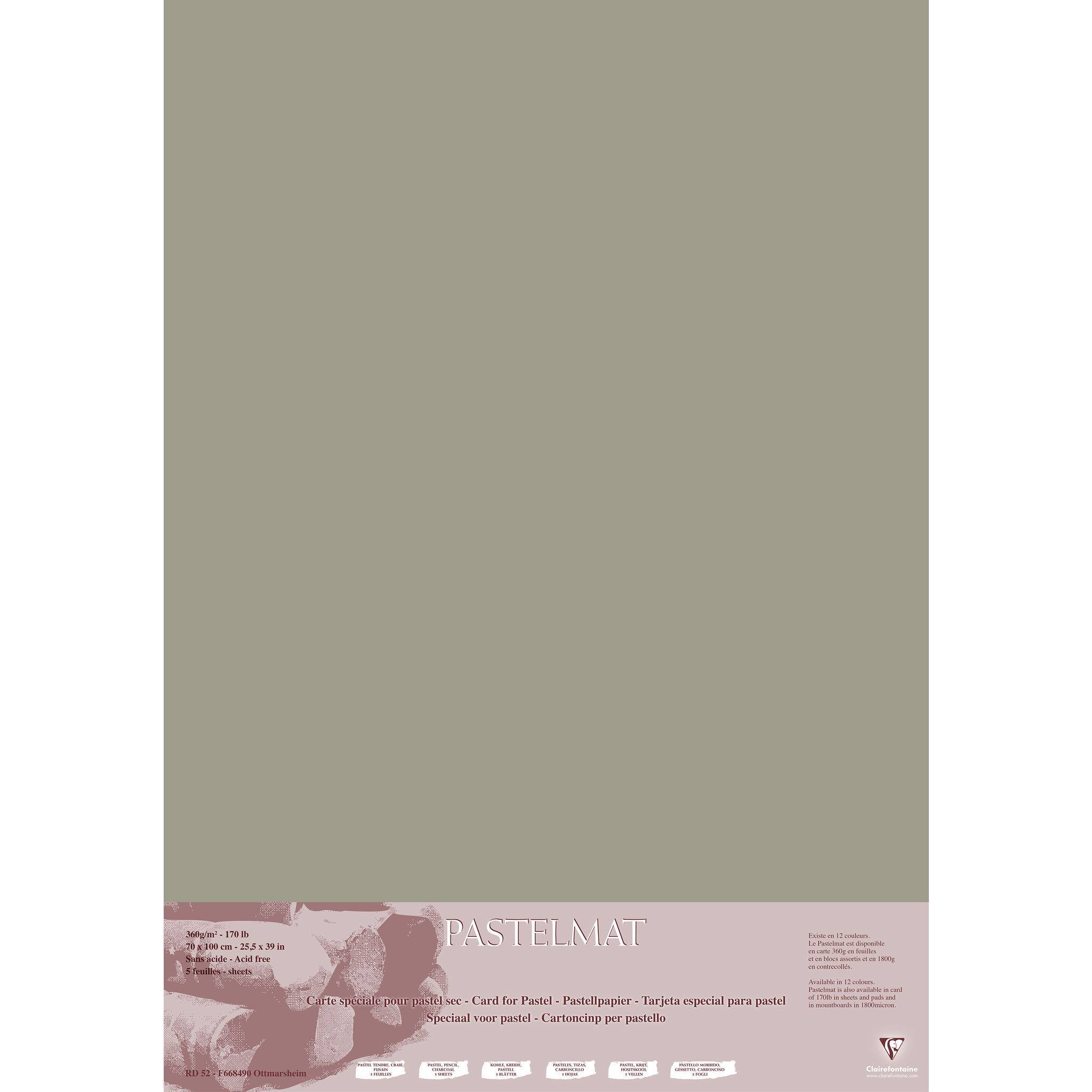 Clairefontaine Papier für Pastellmalerei, 5 Bogen 70x100cm Dunkelgrau 296019C