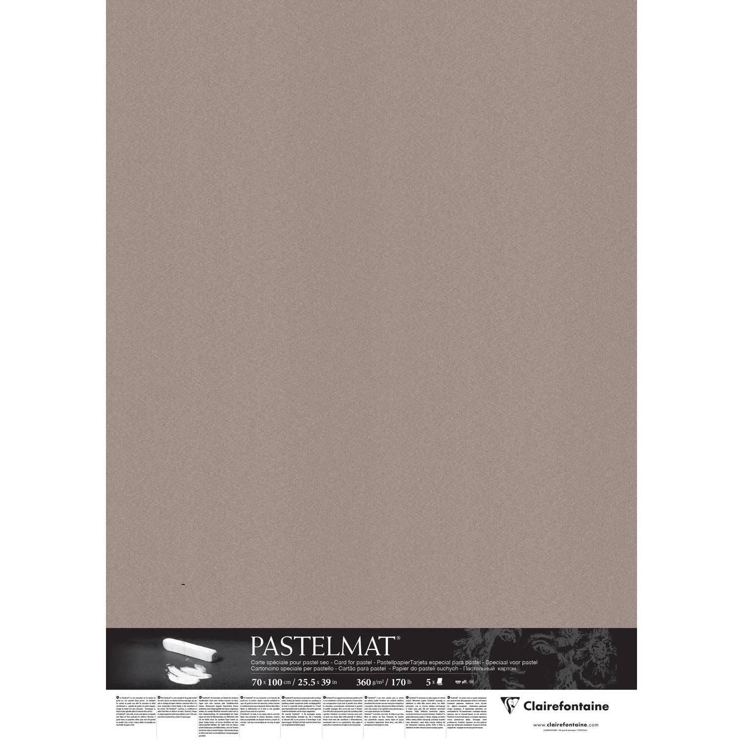 Clairefontaine Papier für Pastellmalerei, 5 Bogen 70x100cm Dunkelgrau 296019C