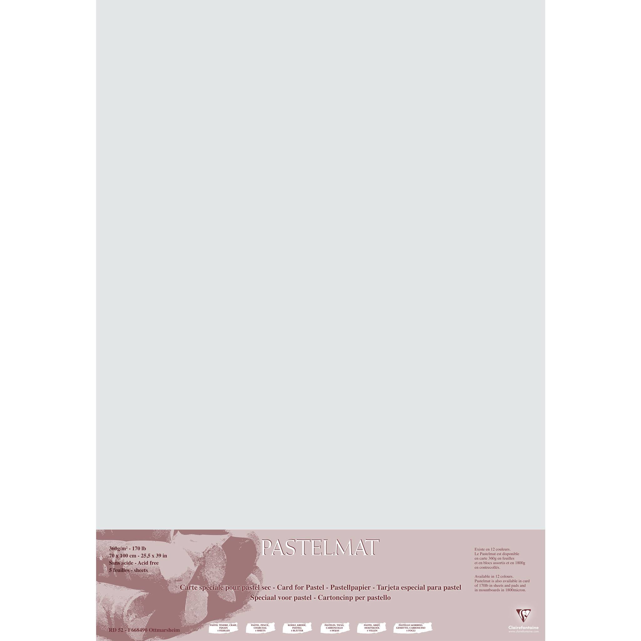 Clairefontaine Papier für Pastellmalerei, 5 Bogen 70x100cm Hellgrau 296020C