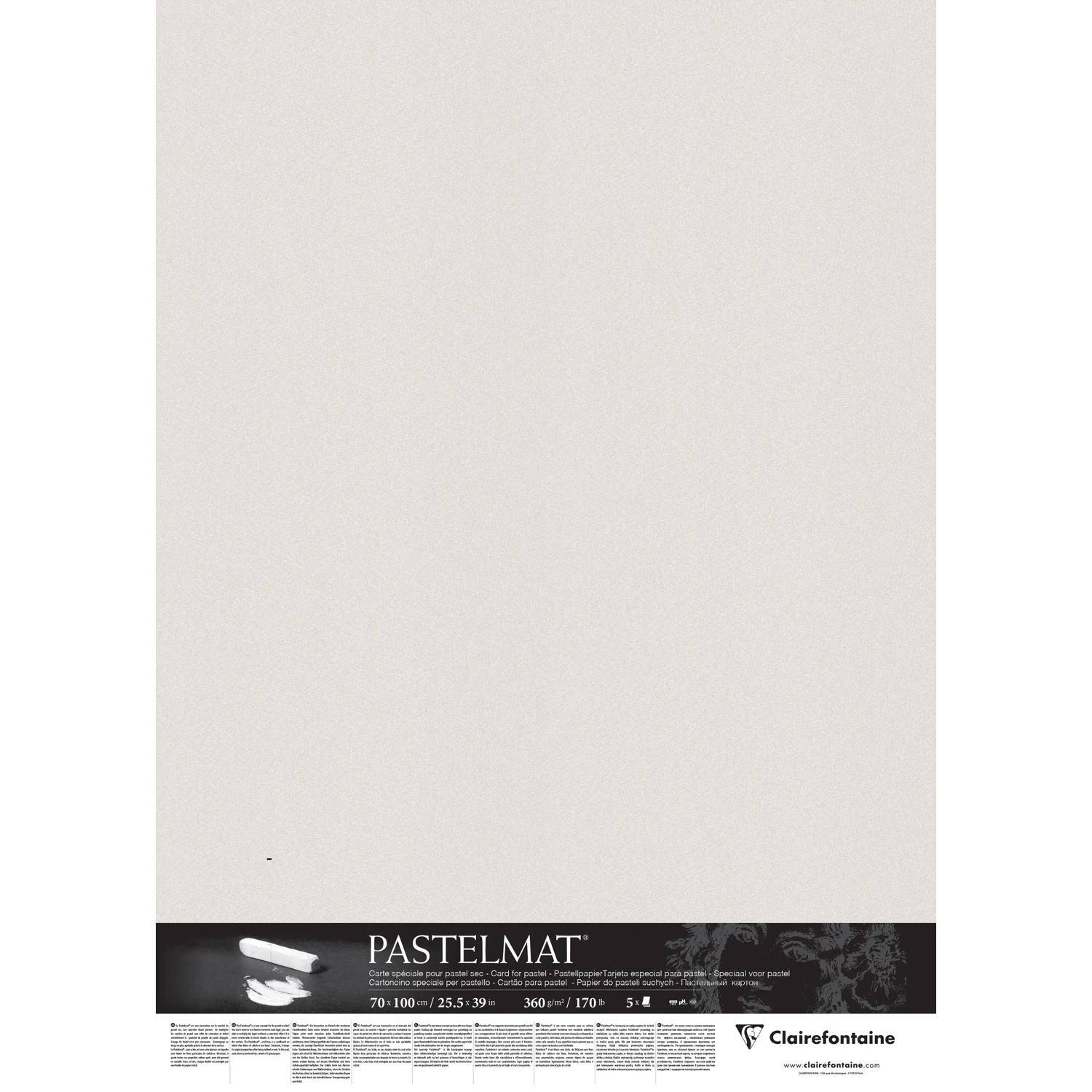 Clairefontaine Papier für Pastellmalerei, 5 Bogen 70x100cm Hellgrau 296020C