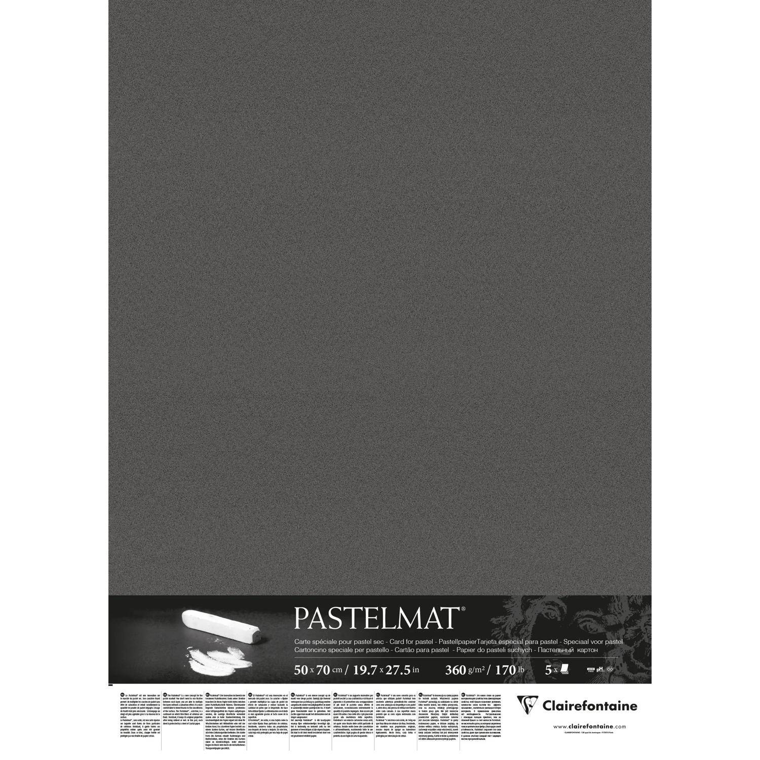 Clairefontaine Pastelmat Pastellmalerei, 5 Bogen 50x70 cm, 360g Anthrazit 96009C