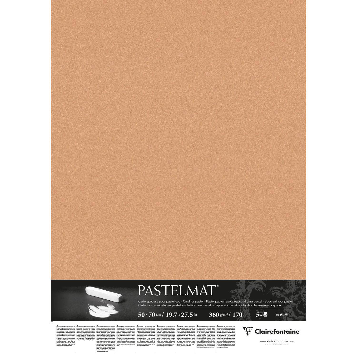 Clairefontaine Pastelmat Pastellmalerei, 5 Bogen 50x70 cm, 360g Siena 96012C