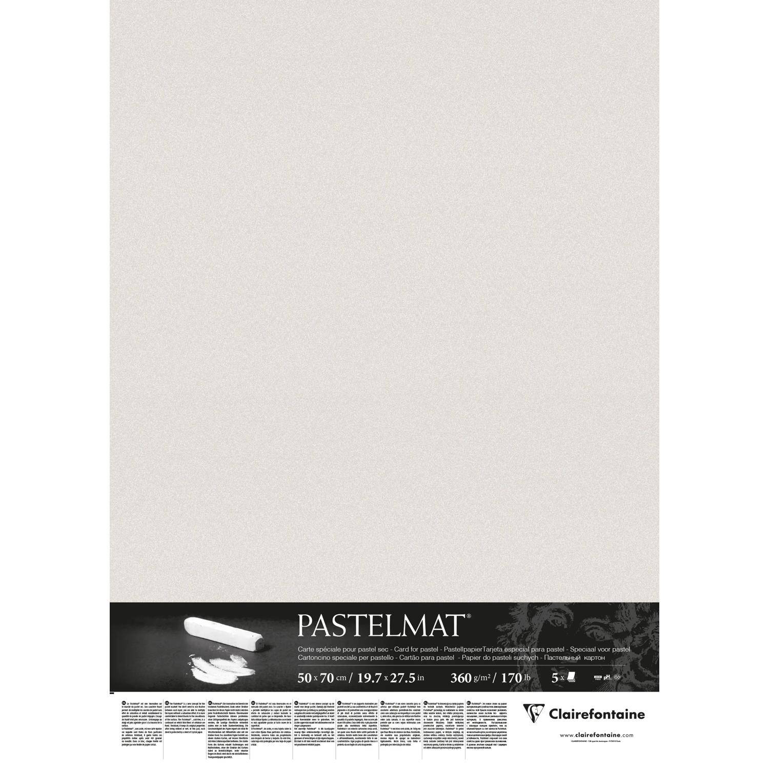 Clairefontaine Pastelmat Pastellmalerei, 5 Bogen 50x70 cm, 360g Hellgrau 96020C