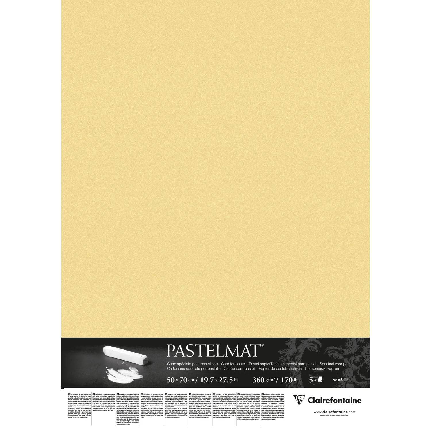 Clairefontaine Papier für Pastellmalerei, 5 Bogen 50x70cm, Butterblume 96022C