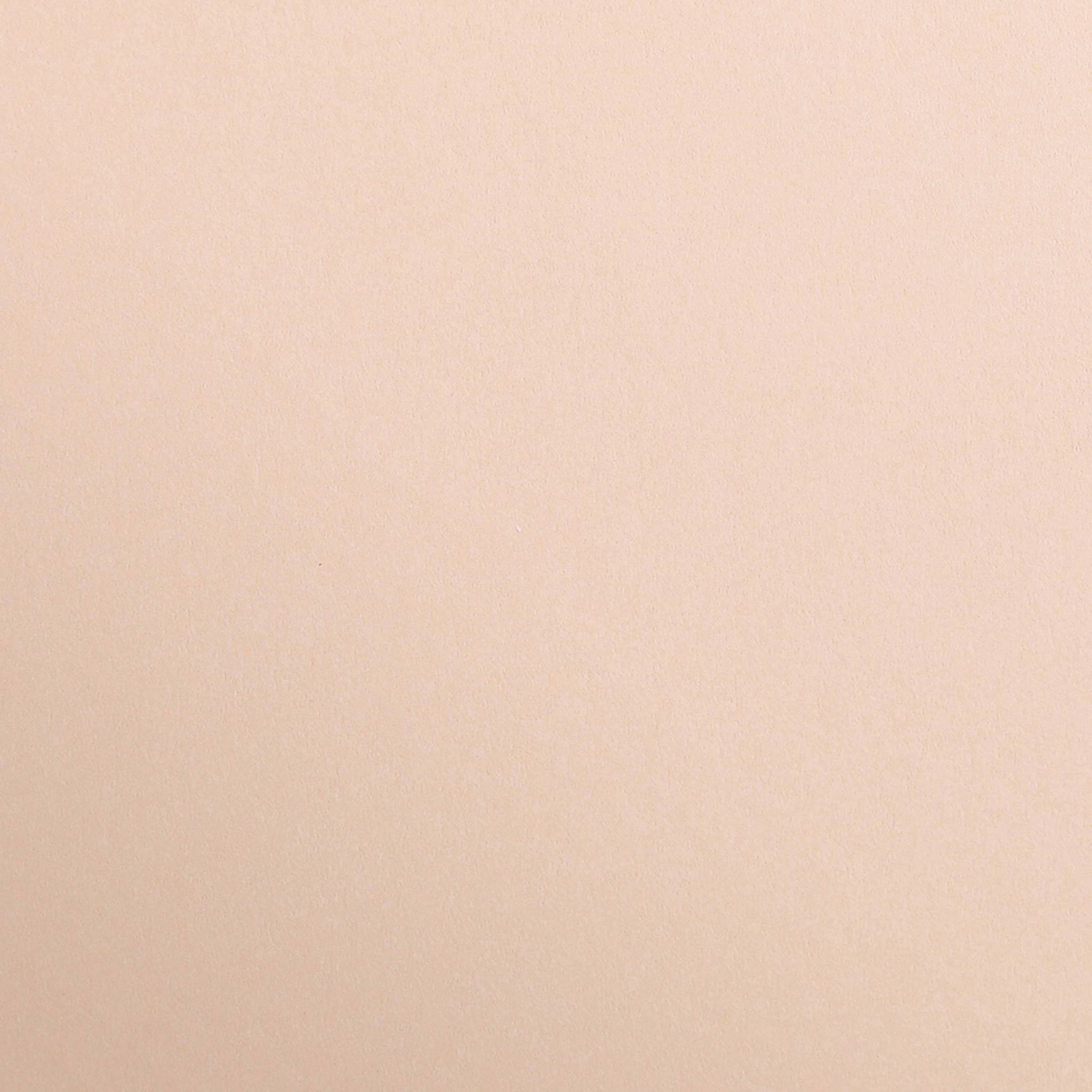 Clairefontaine Maya Bastelkarton 50x70cm 185g 25 Bogen - Aprikose 975464C