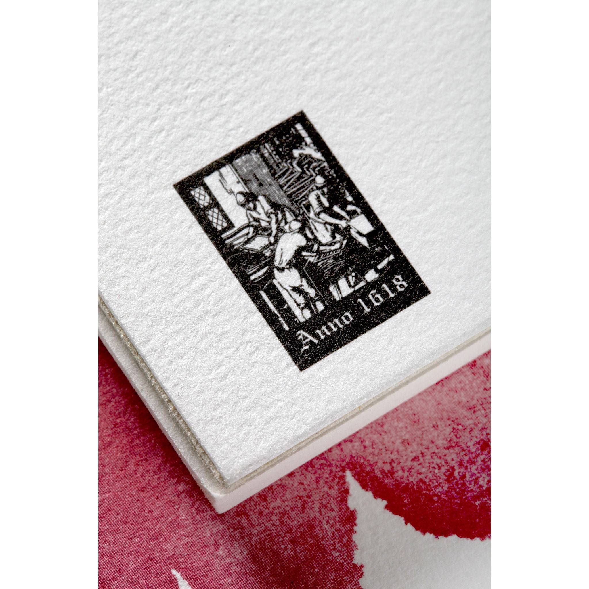 Clairefontaine Aquarellpapier 300g, 100% Hadern, geleimt, 20 Bl, 36x51 cm 96346C