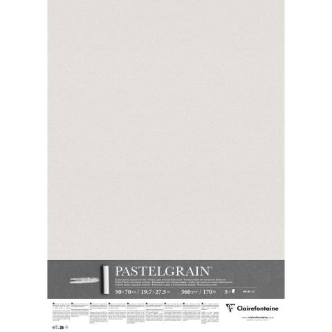 Clairefontaine PastelGrain 50x70cm 5 Bogen 360g - Hellgrau 976064C