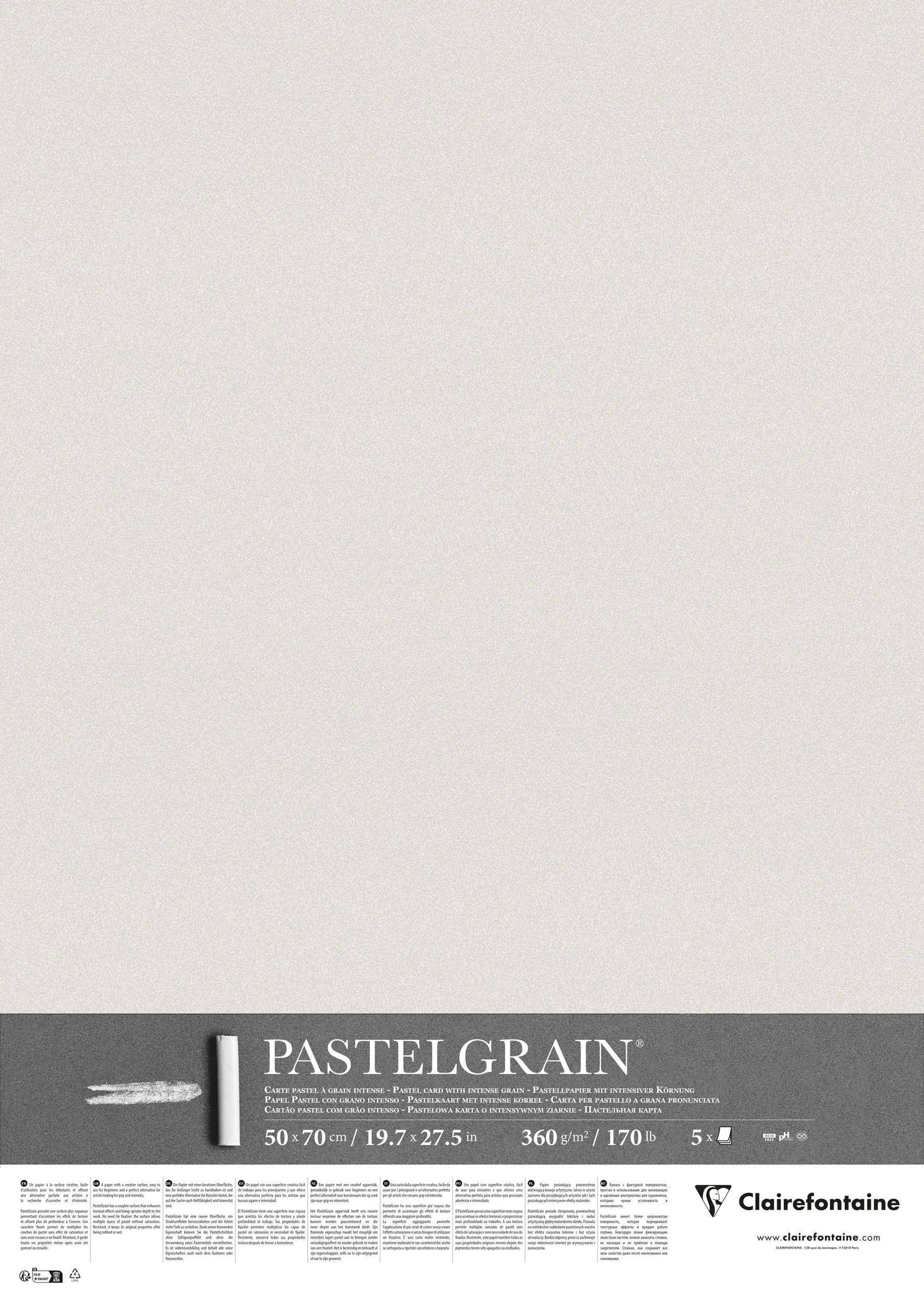 Clairefontaine PastelGrain 50x70cm 5 Bogen 360g - Hellgrau 976064C