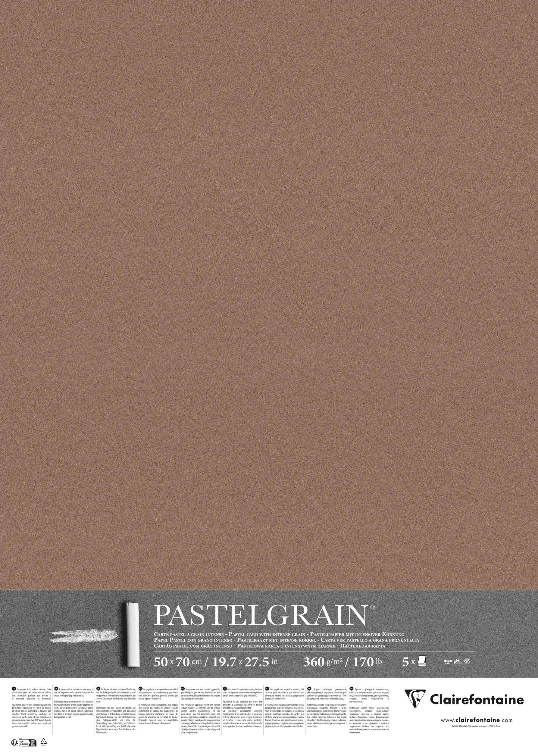 Clairefontaine PastelGrain 50x70cm 5 Bogen 360g - Braun 976068C