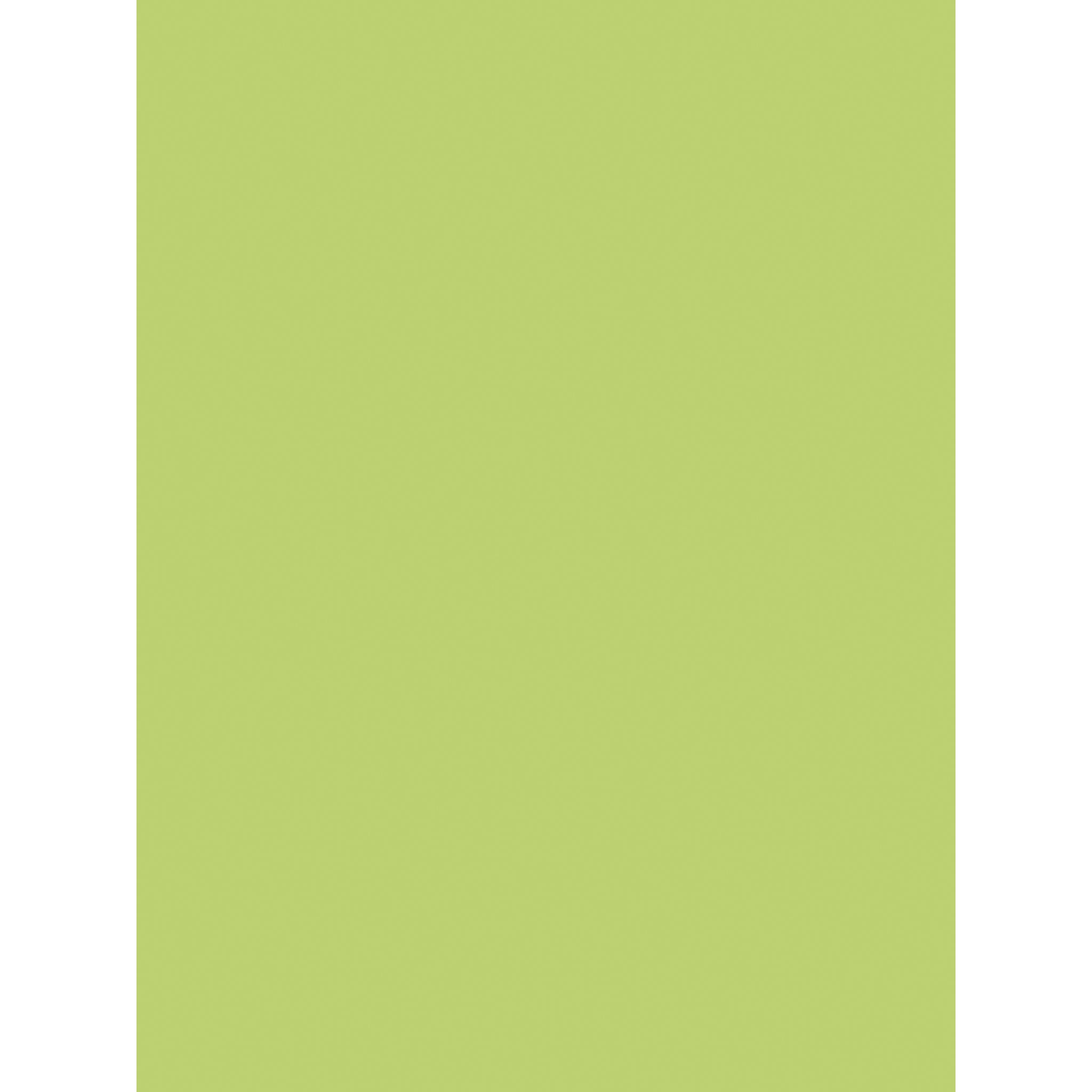 Clairefontaine Pack 25 Bögen Plakatpapier, 60x80cm, 90g - Apfelgrün 384519C