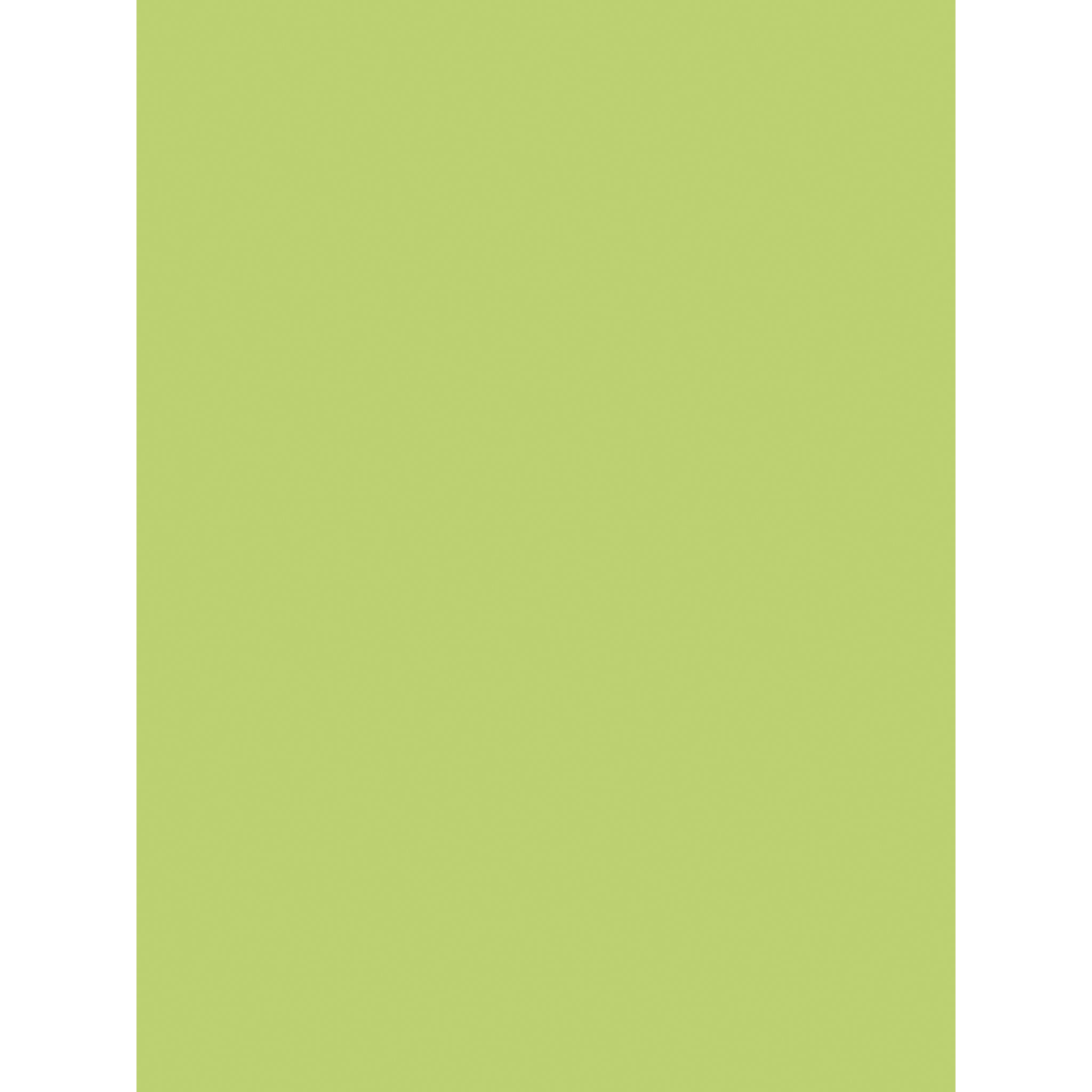 Clairefontaine Pack 25 Bögen Plakatpapier, 60x80cm, 90g - Apfelgrün 384519C