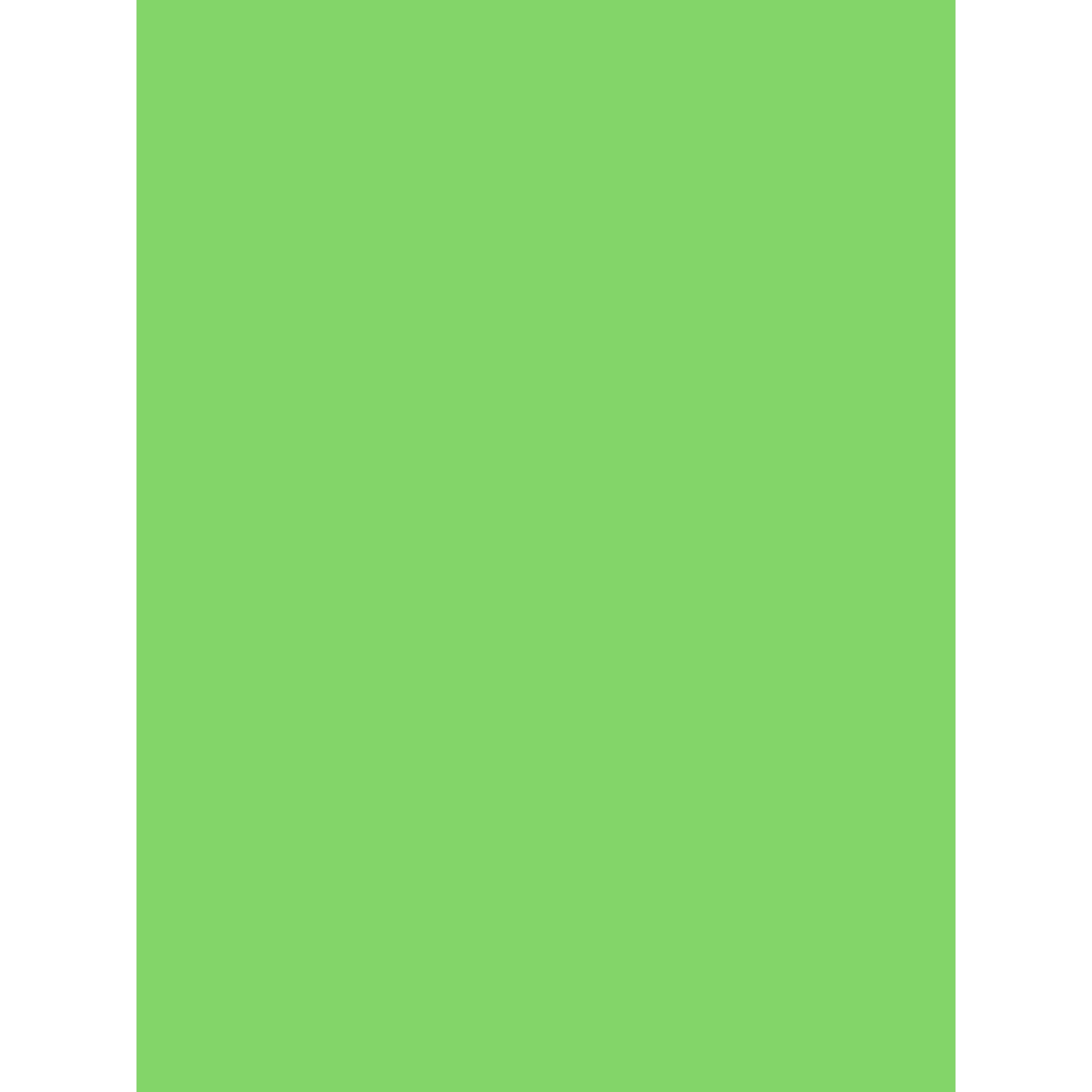 Clairefontaine Pack 25 Bögen Plakatpapier, 60x80cm, 90g - Minze 384522C