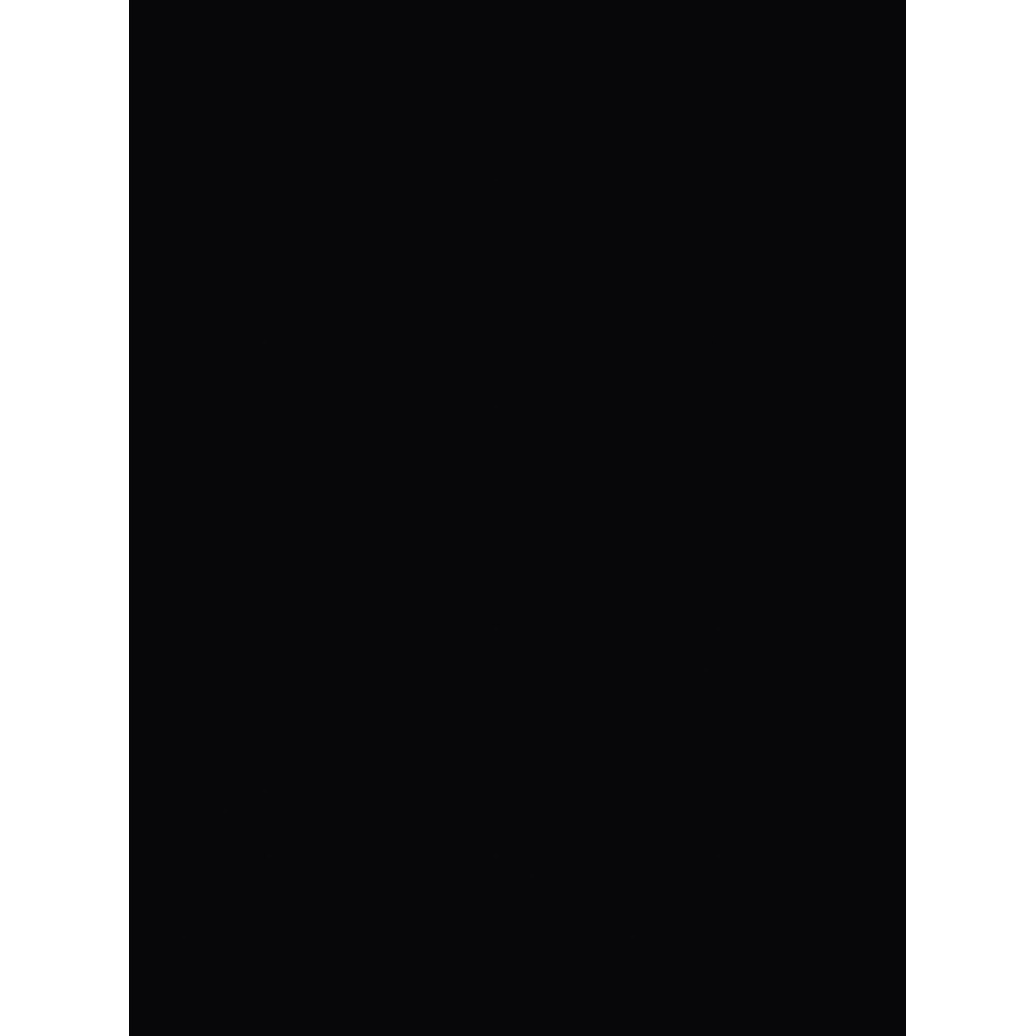 Clairefontaine Pack 25 Bögen Plakatpapier, 60x80cm, 90g - Schwarz 384529C