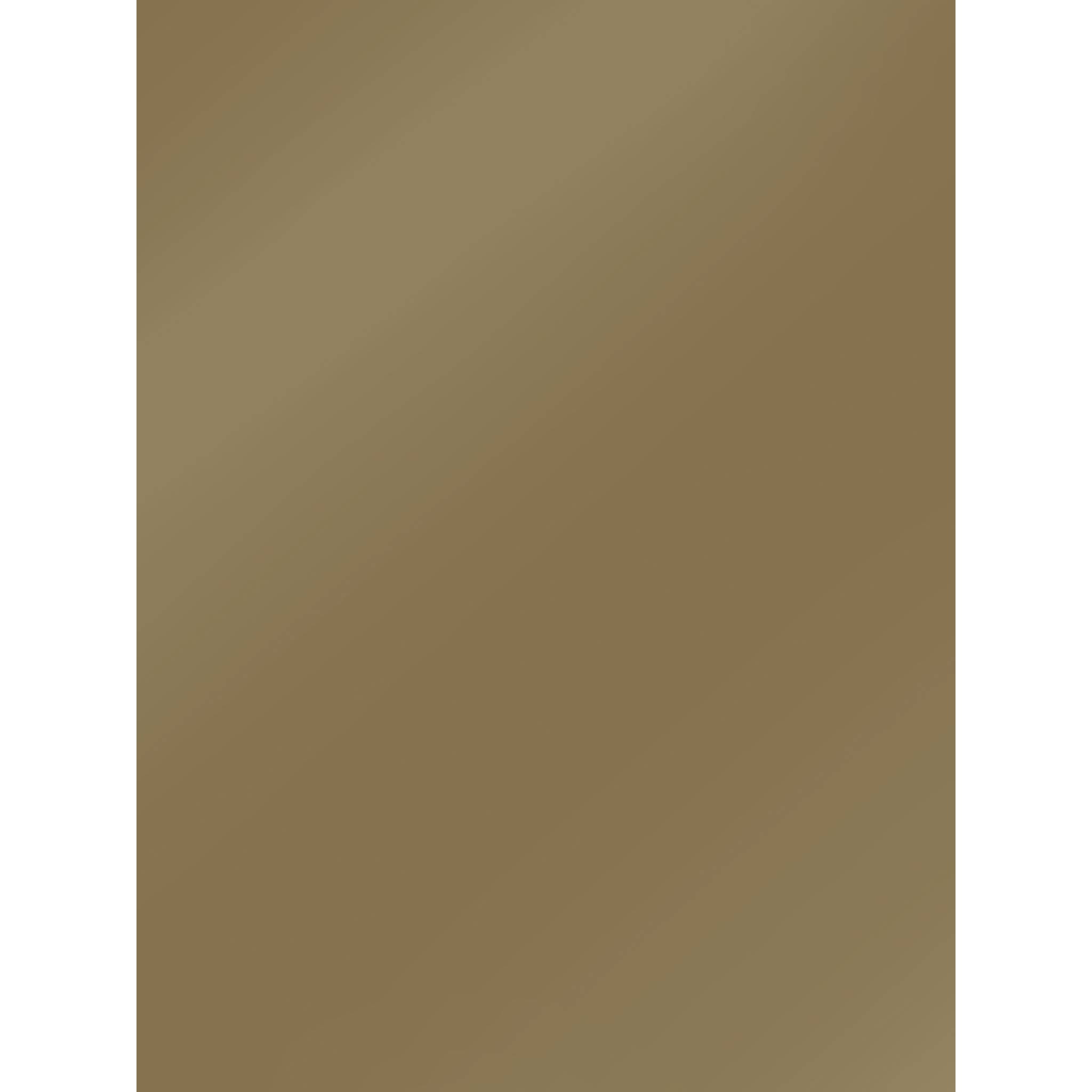 Clairefontaine Pack 10 Bögen Plakatpapier, 60x80cm, 90g - Gold 384575C