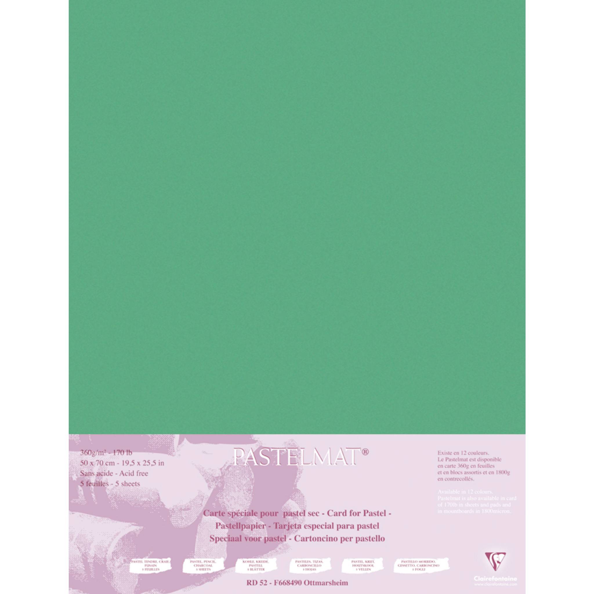 Clairefontaine Papier für Pastellmalerei, 5 Bogen 50x70cm Dunkelgrün 96168C