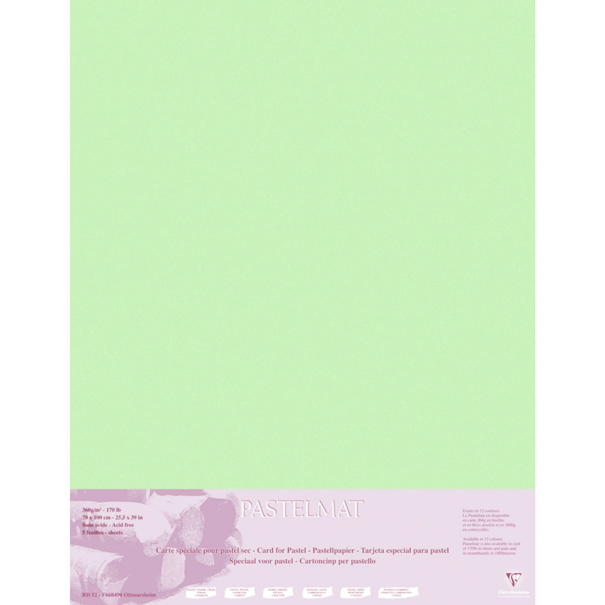 Clairefontaine Pastelmat Pastellmalerei, 5 Bogen 70x100 cm, 360g Hellgrün 96158C