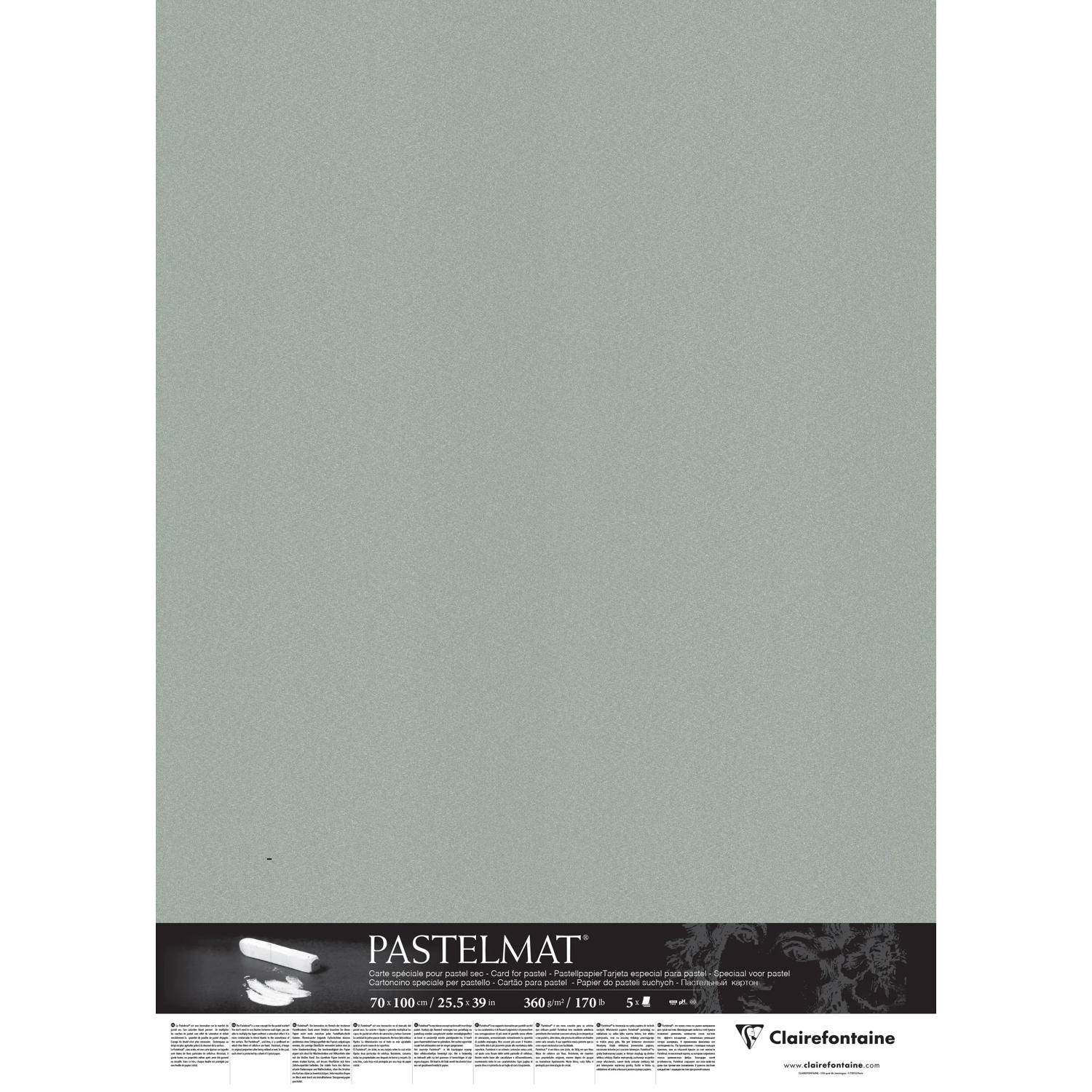 Clairefontaine Pastelmat Pastellmalerei, 5 Bogen 70x100 cm, 360g Hellgrün 96158C