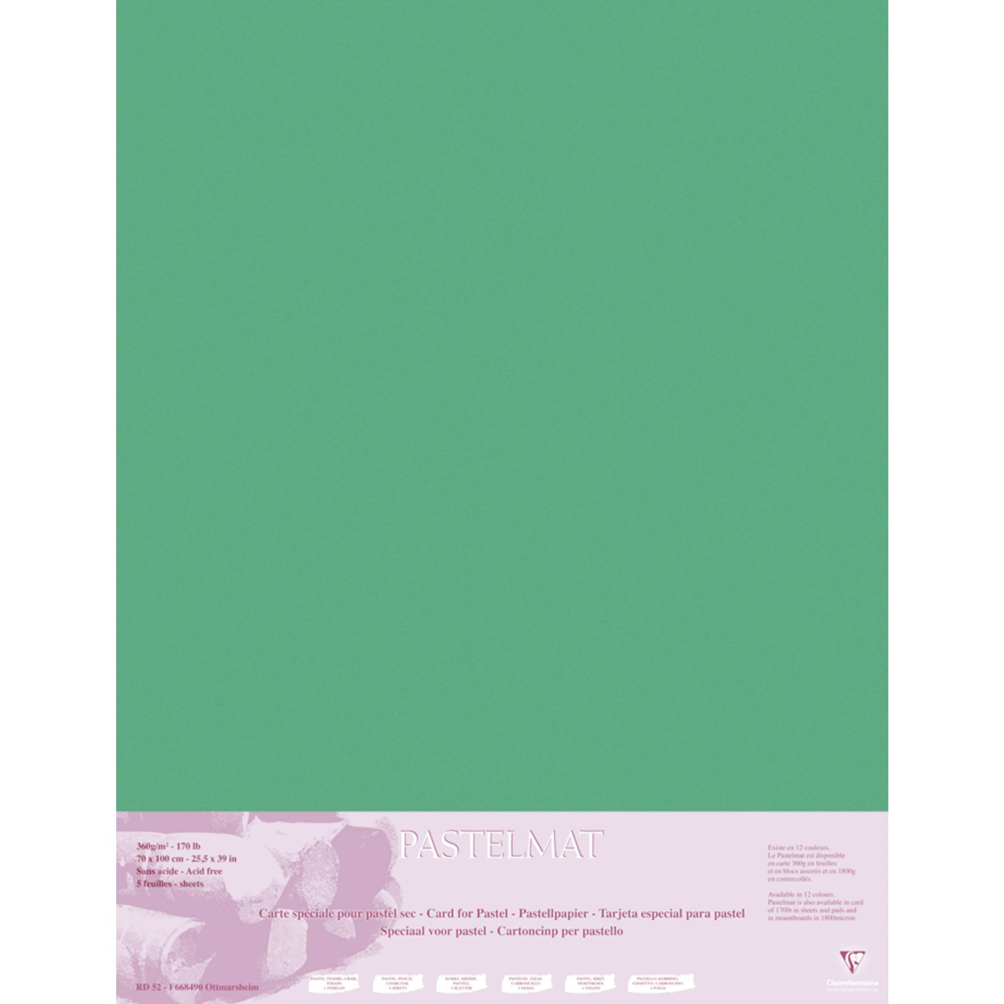 Clairefontaine Papier für Pastellmalerei, 5 Bogen 70x100cm Dunkelgrün 96169C