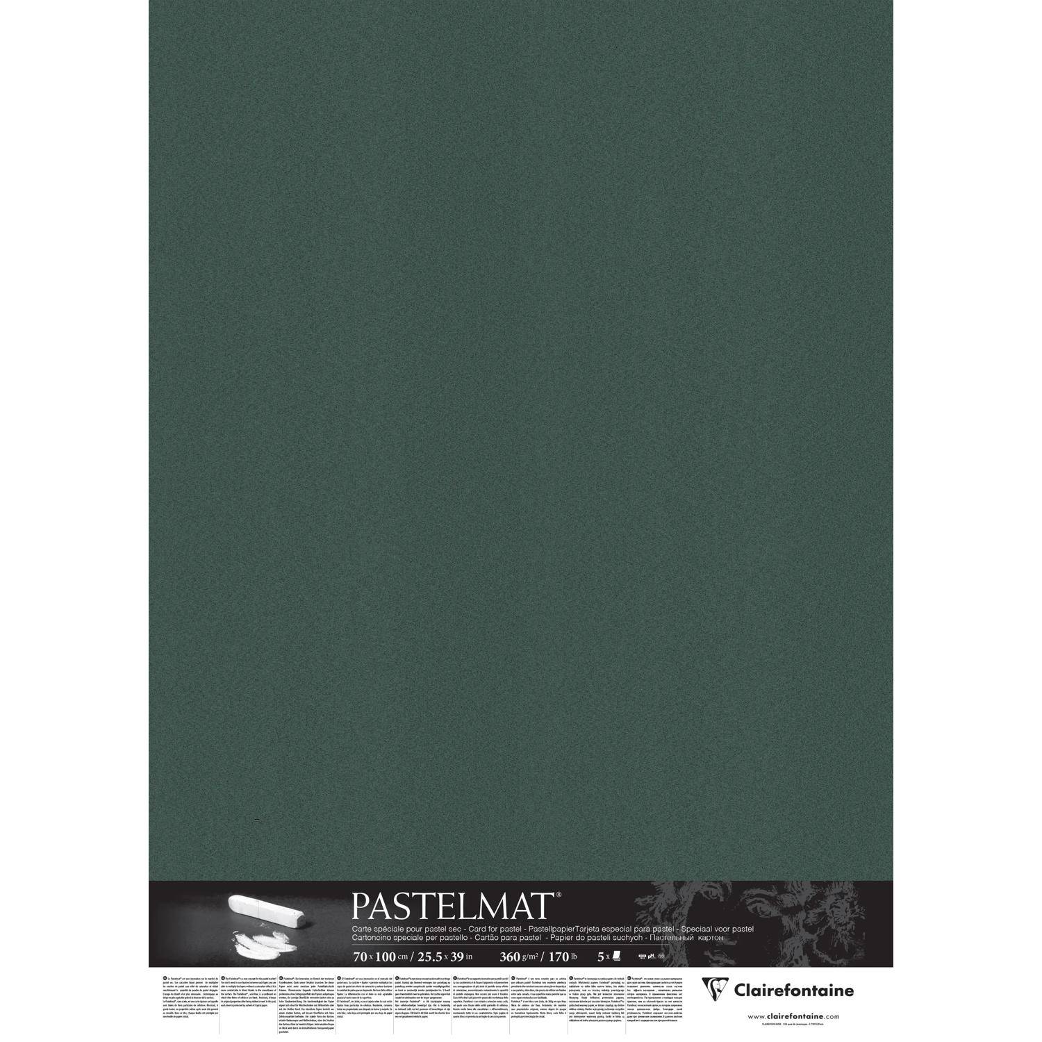 Clairefontaine Papier für Pastellmalerei, 5 Bogen 70x100cm Dunkelgrün 96169C