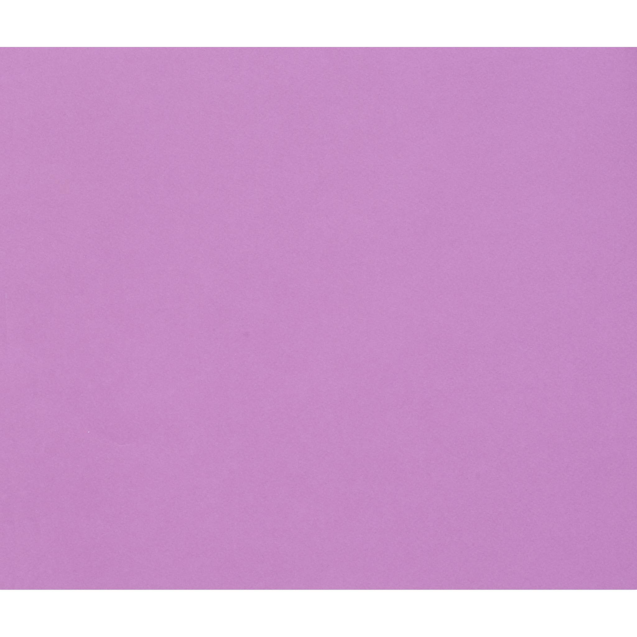 Clairefontaine Zeichenpapier Tulipe 50x65 cm, Packung mit 50 Bl Flieder 960276C