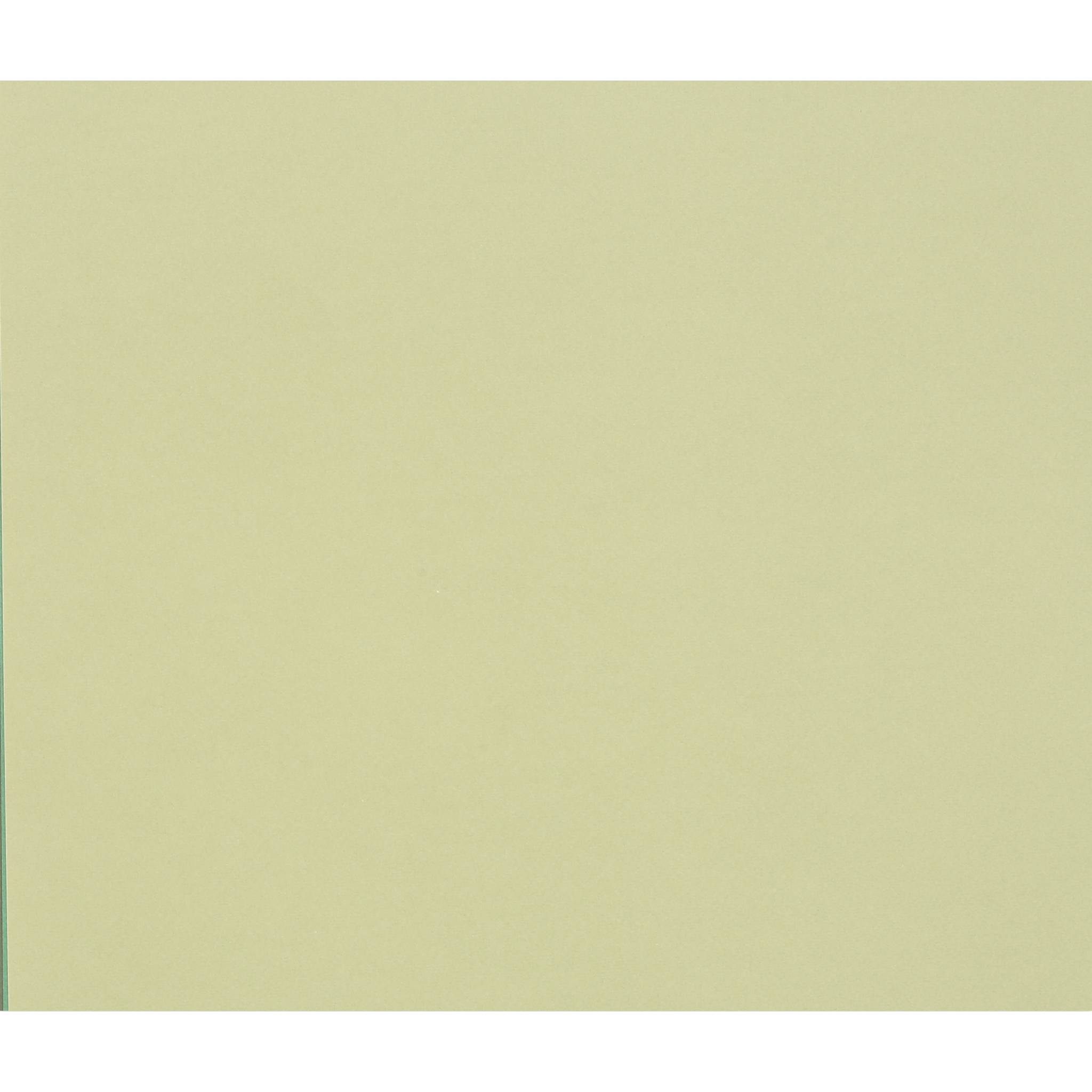 Clairefontaine Zeichenpapier Tulipe 50x65 cm 160g, Pkg 25 Bl Lindgrün 960184C