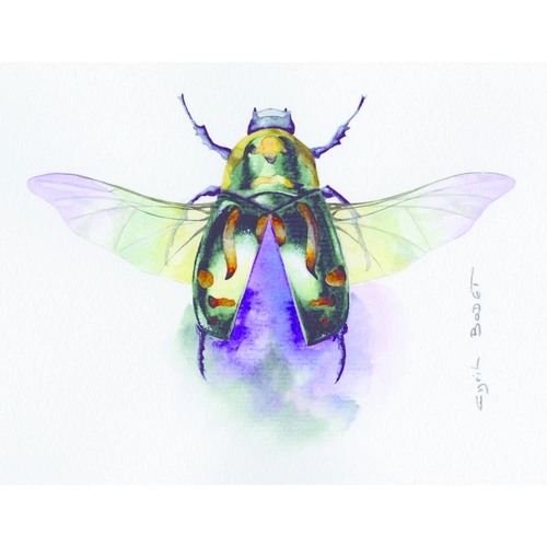 Clairefontaine Etival Aquarellpapier feinkörnig, 25 Bogen 200g, 50x65 cm 93451C Clairefontaine Etival Aquarellpapier feinkörnig, 25 Bogen 200g, 50x65 cm 93451C