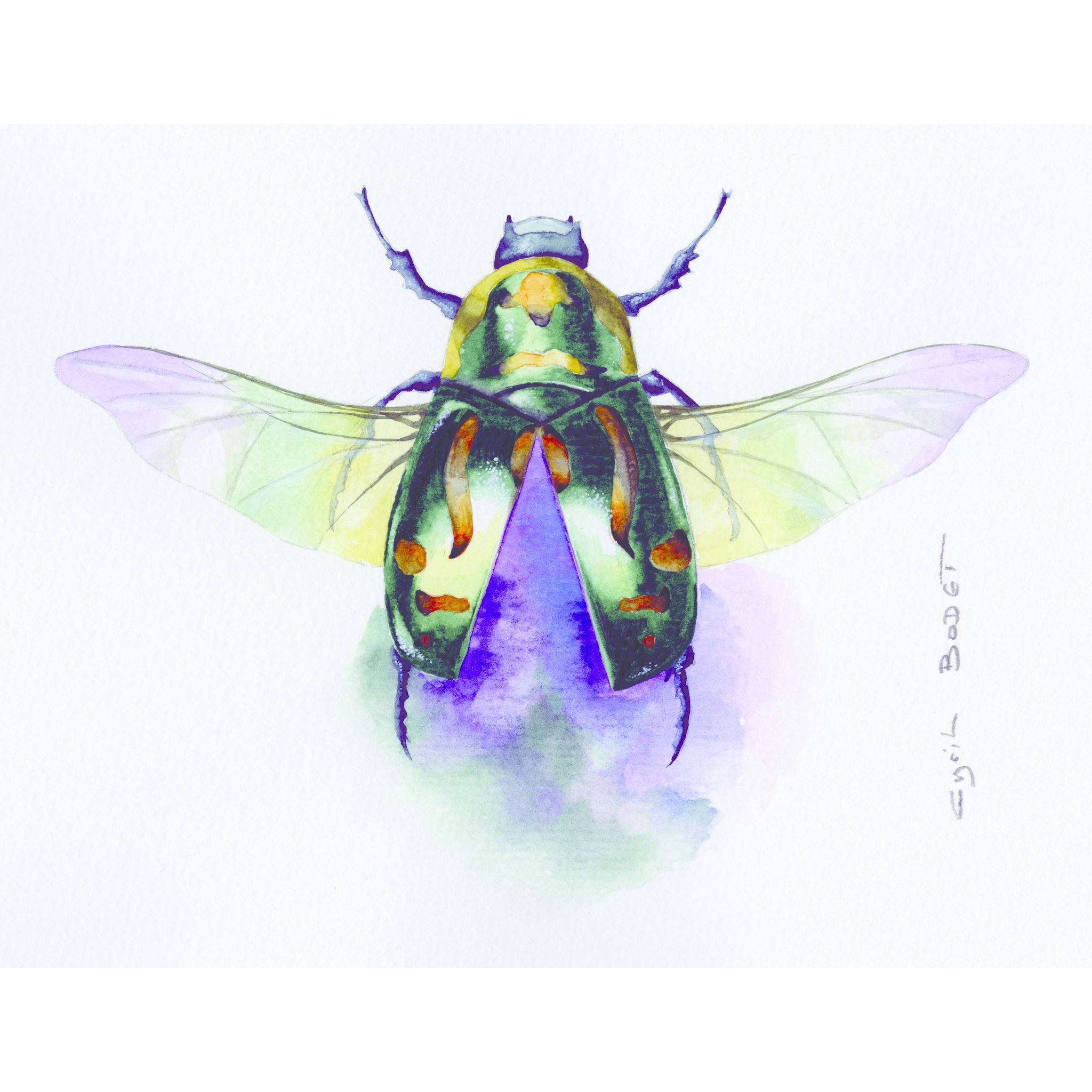 Clairefontaine Etival Aquarellpapier feinkörnig, 10 Bogen 300g, 56x76 cm 93422C