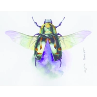 Clairefontaine Etival Aquarellpapier feinkörnig, 25 Bogen 200g, 50x65 cm 93451C Clairefontaine Etival Aquarellpapier feinkörnig, 25 Bogen 200g, 50x65 cm 93451C