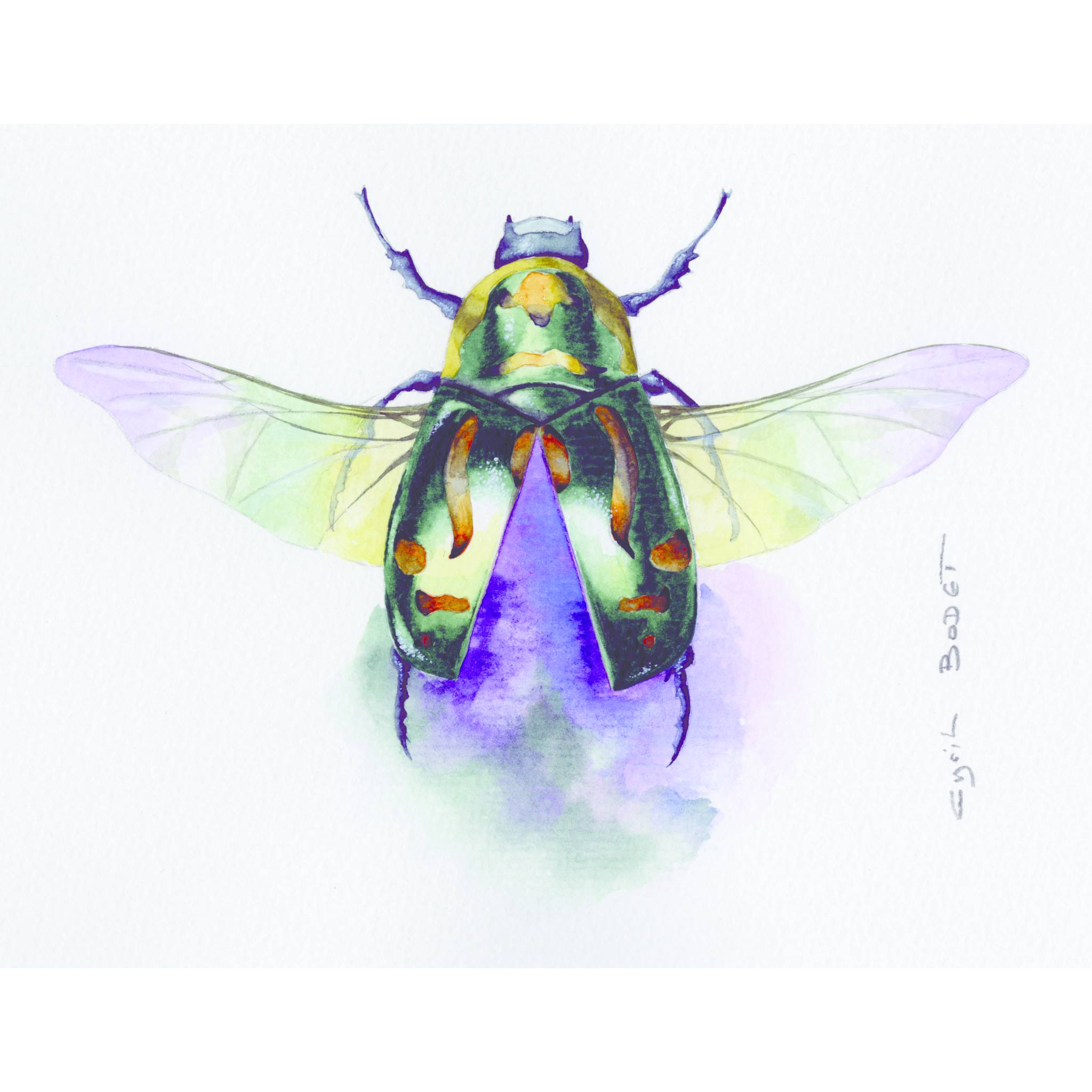 Clairefontaine Etival Aquarellpapier feinkörnig, 10 Bogen 300g, 56x76 cm 93422C