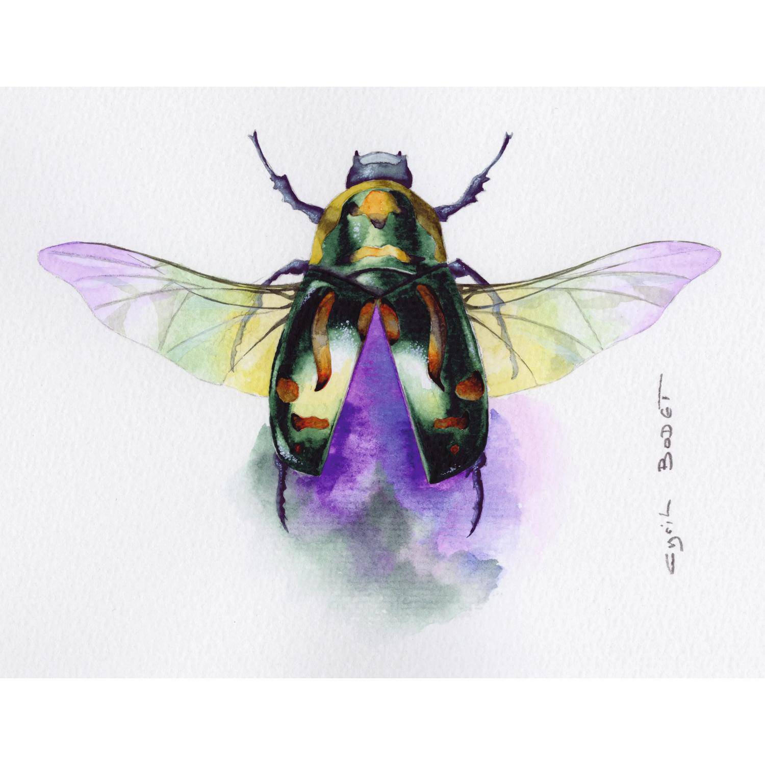Clairefontaine Etival Aquarellpapier feinkörnig, 25 Bogen 200g, 50x65 cm 93451C