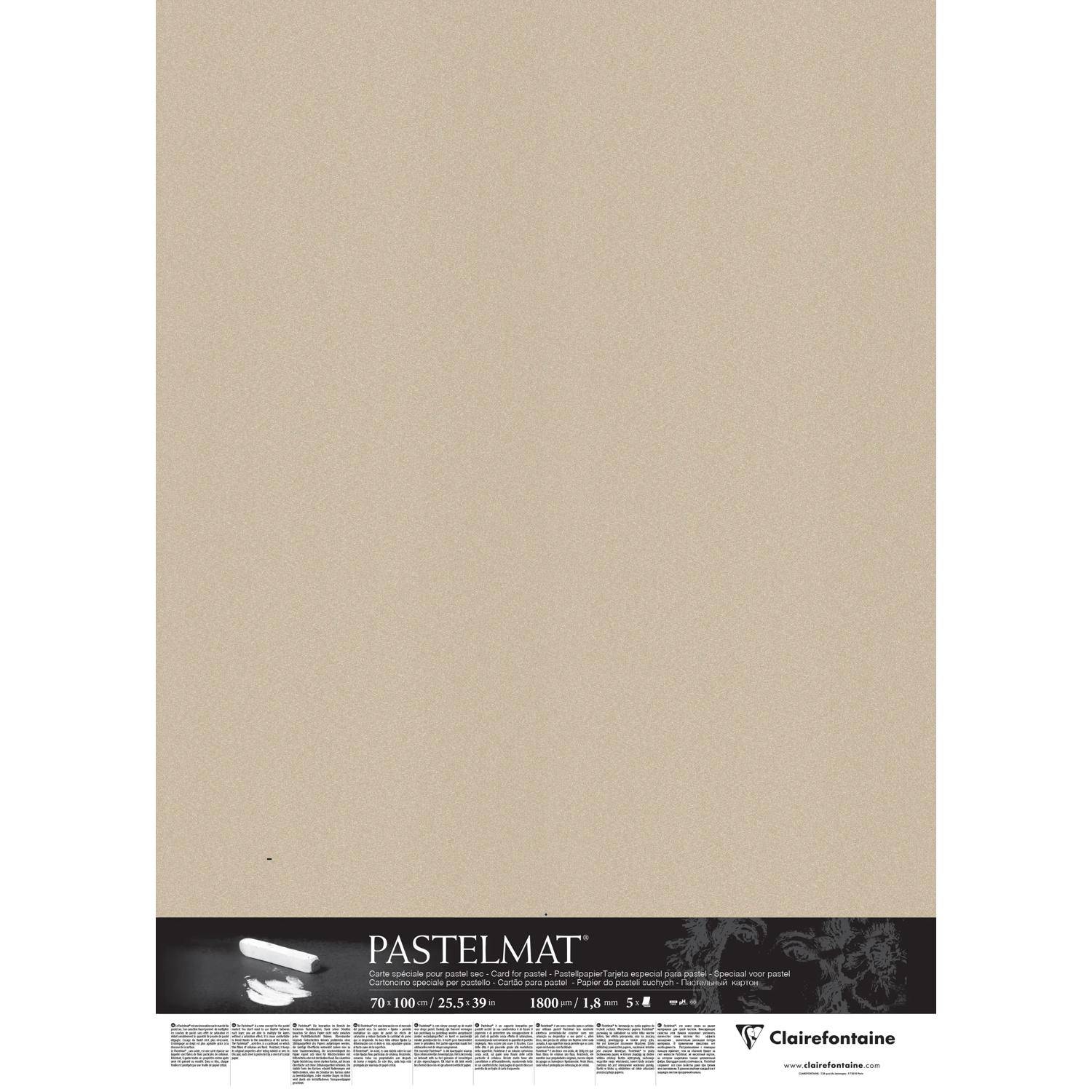 Clairefontaine Papier für Pastellmalerei, 5 Bogen 70x100cm Sand 396015C