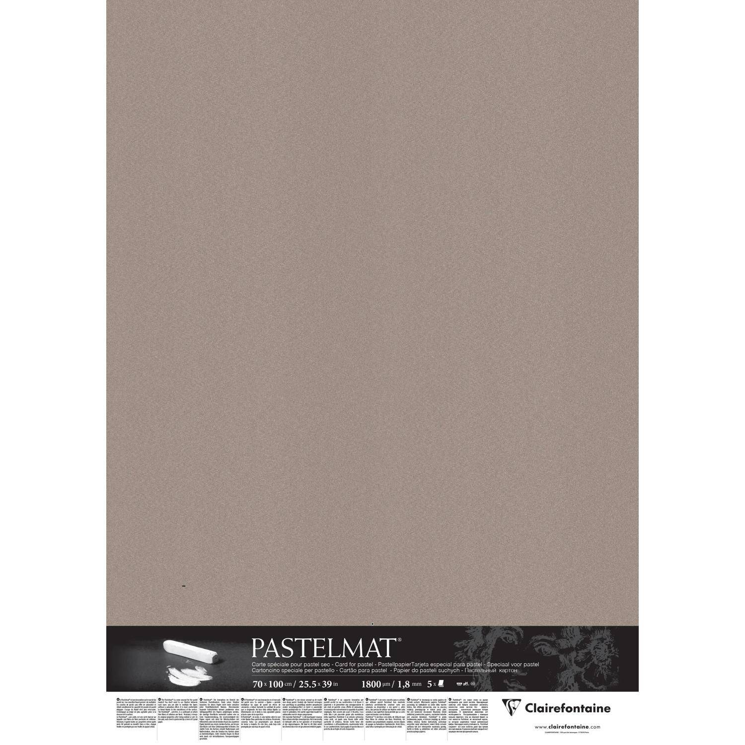 Clairefontaine Papier für Pastellmalerei 5 Bogen 70x100cm Dunkelgrau 396019C