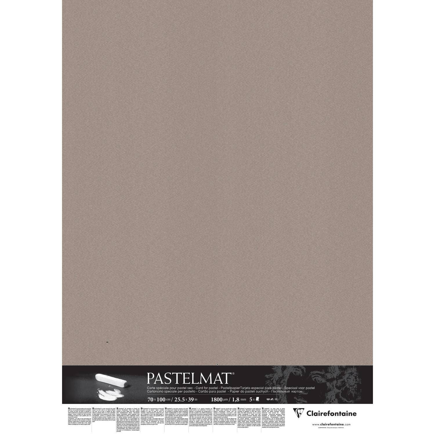 Clairefontaine Papier für Pastellmalerei 5 Bogen 70x100cm Dunkelgrau 396019C