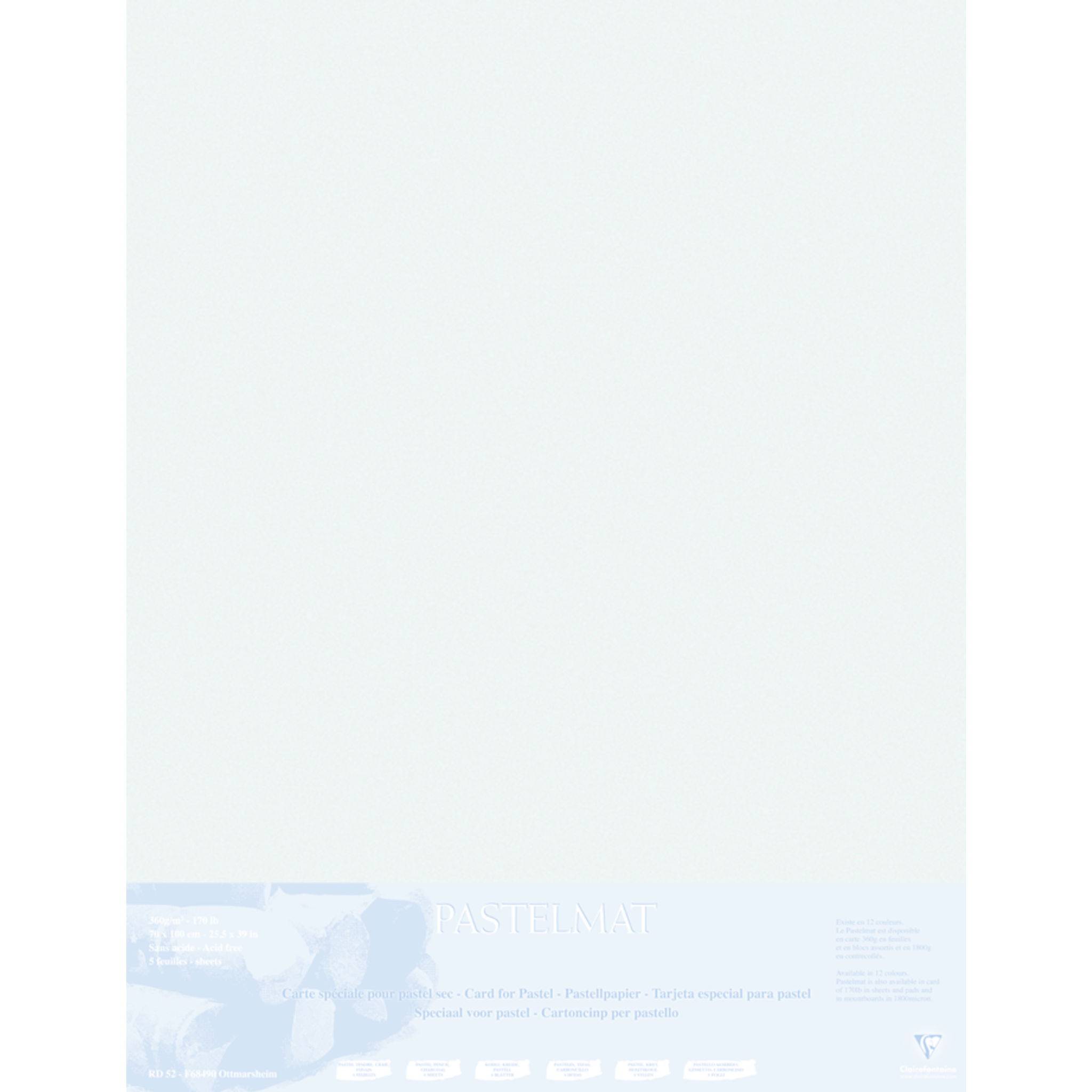 Clairefontaine Papier für Pastellmalerei 5 Bogen 70x100cm Hellgrau 396020C
