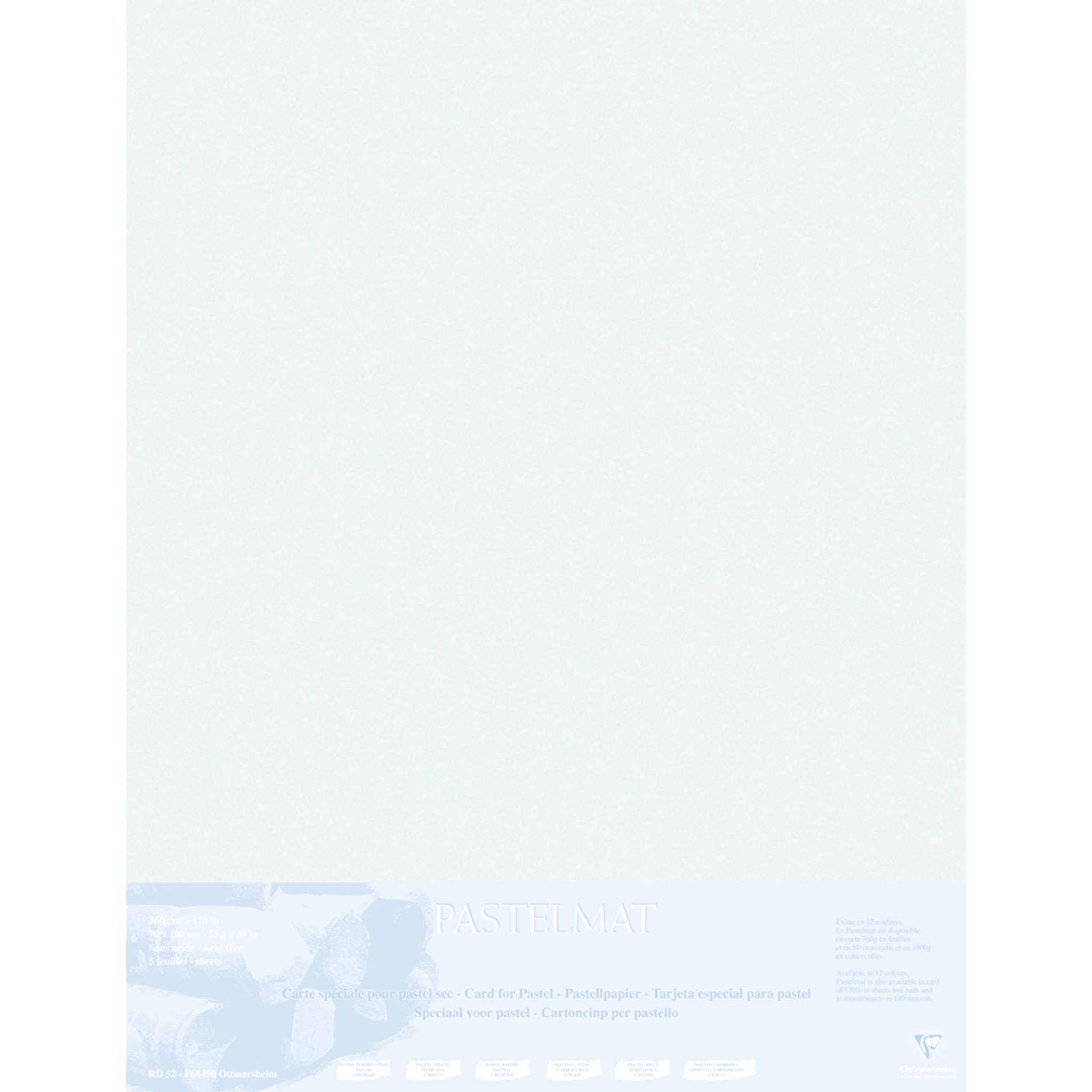 Clairefontaine Papier für Pastellmalerei 5 Bogen 70x100cm Hellgrau 396020C