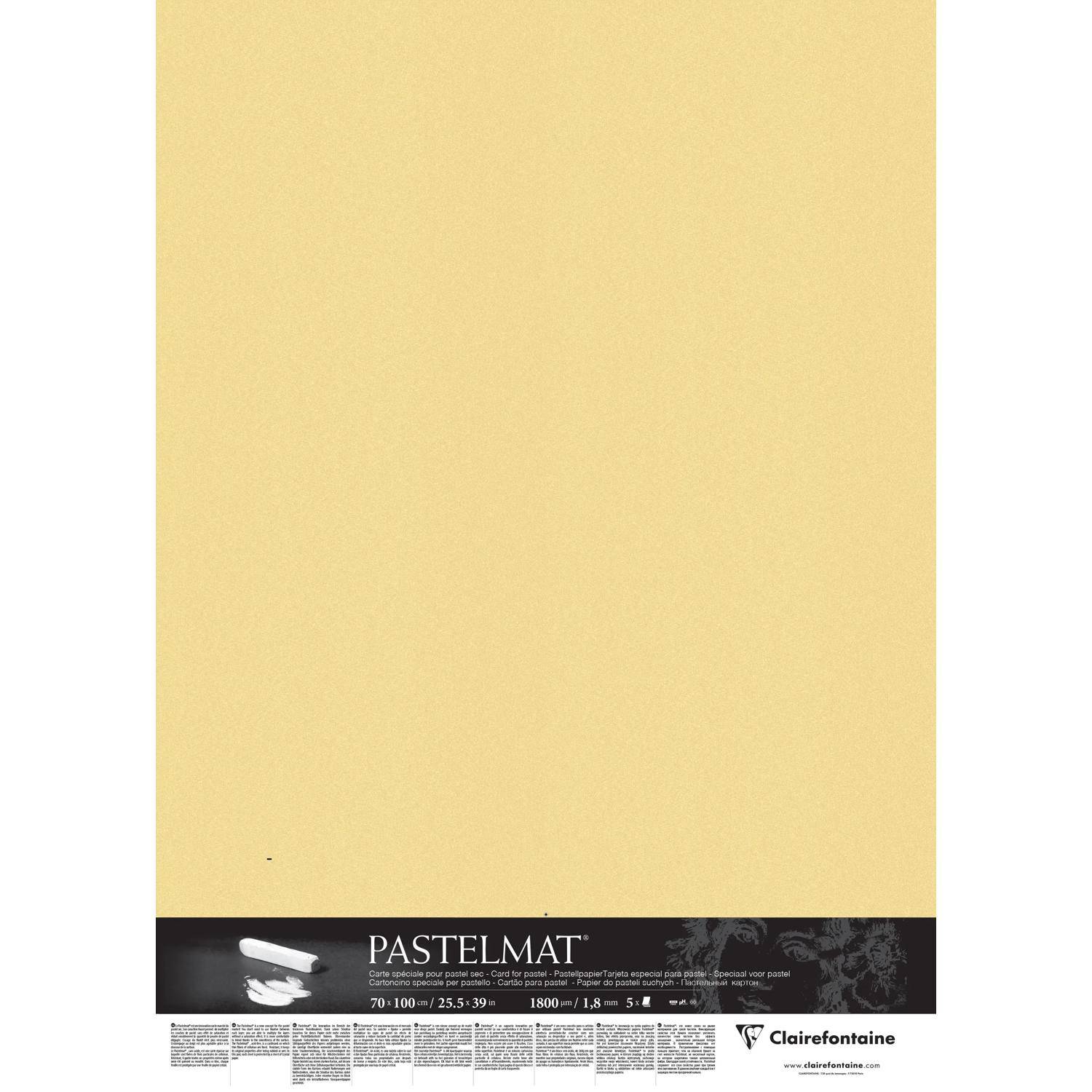 Clairefontaine Papier für Pastellmalerei 5 Bogen 70x100cm Butterblume 396022C