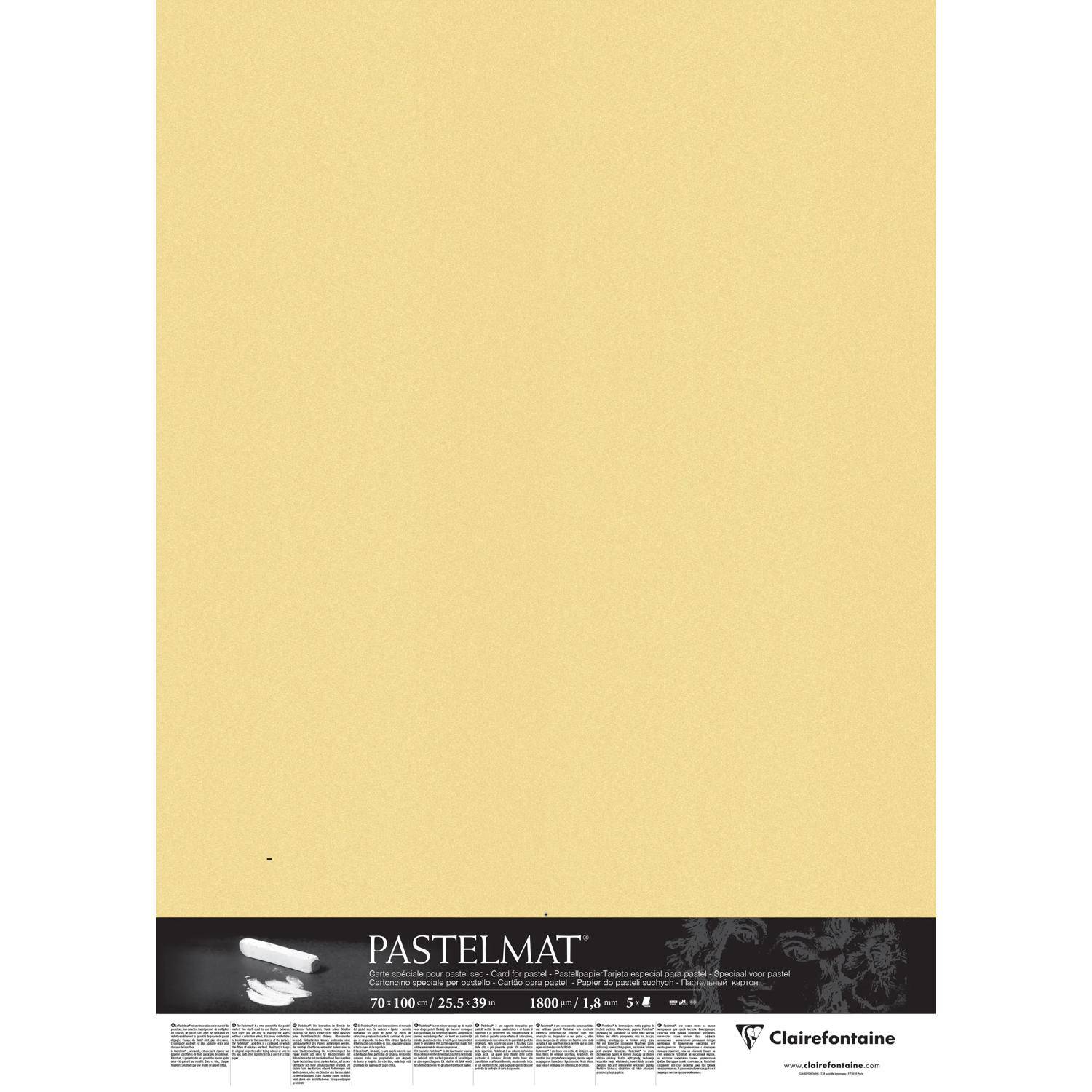 Clairefontaine Papier für Pastellmalerei 5 Bogen 70x100cm Butterblume 396022C