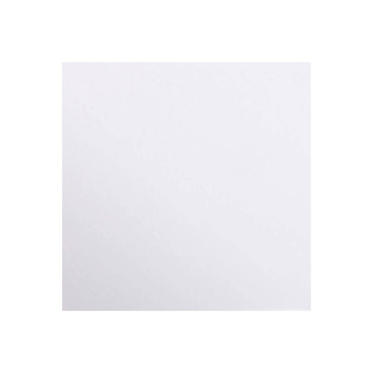 Clairefontaine Maya Fotokarton, Packung mit 25 Bogen 70x100 cm, 270g Weiß 47963C