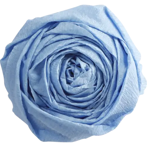 Clairefontaine Krepppapier Pack. 10 Bogen gefaltet 2mx0,50m Himmelblau 903027C Clairefontaine Krepppapier Pack. 10 Bogen gefaltet 2mx0,50m Himmelblau 903027C
