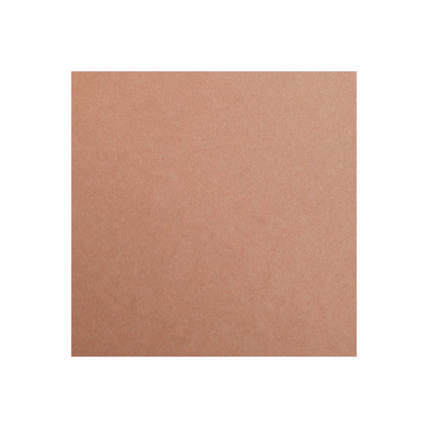 Clairefontaine Maya Fotokarton 50x70cm 270g 125 Bogen - Braun 397274C