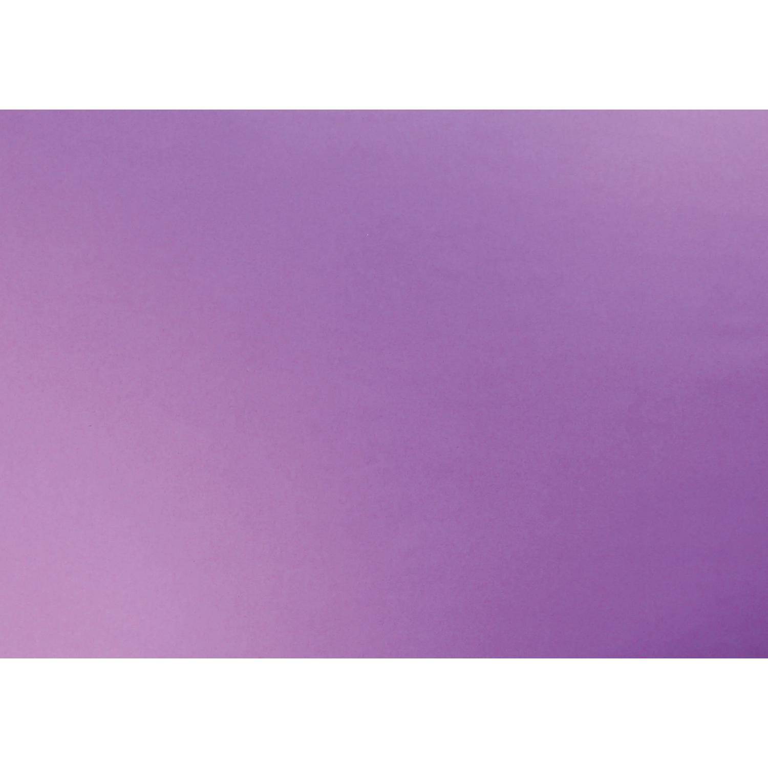 Clairefontaine Fotokarton Pack. 10 Blatt eingeschweißt i50x65cm Malve 455510C