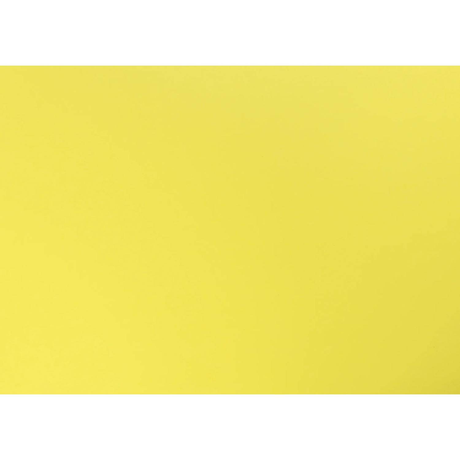 Clairefontaine Fotokarton Pack. 10 Blatt 270g 50x65cm Zitronengelb 455515C