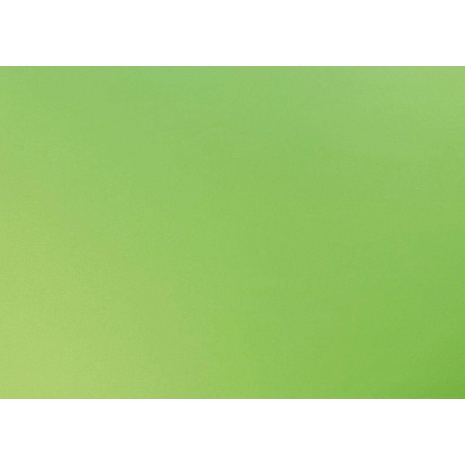 Clairefontaine Fotokarton Pack. 10 Blatt 270g 50x65cm Apfelgrün 455519C