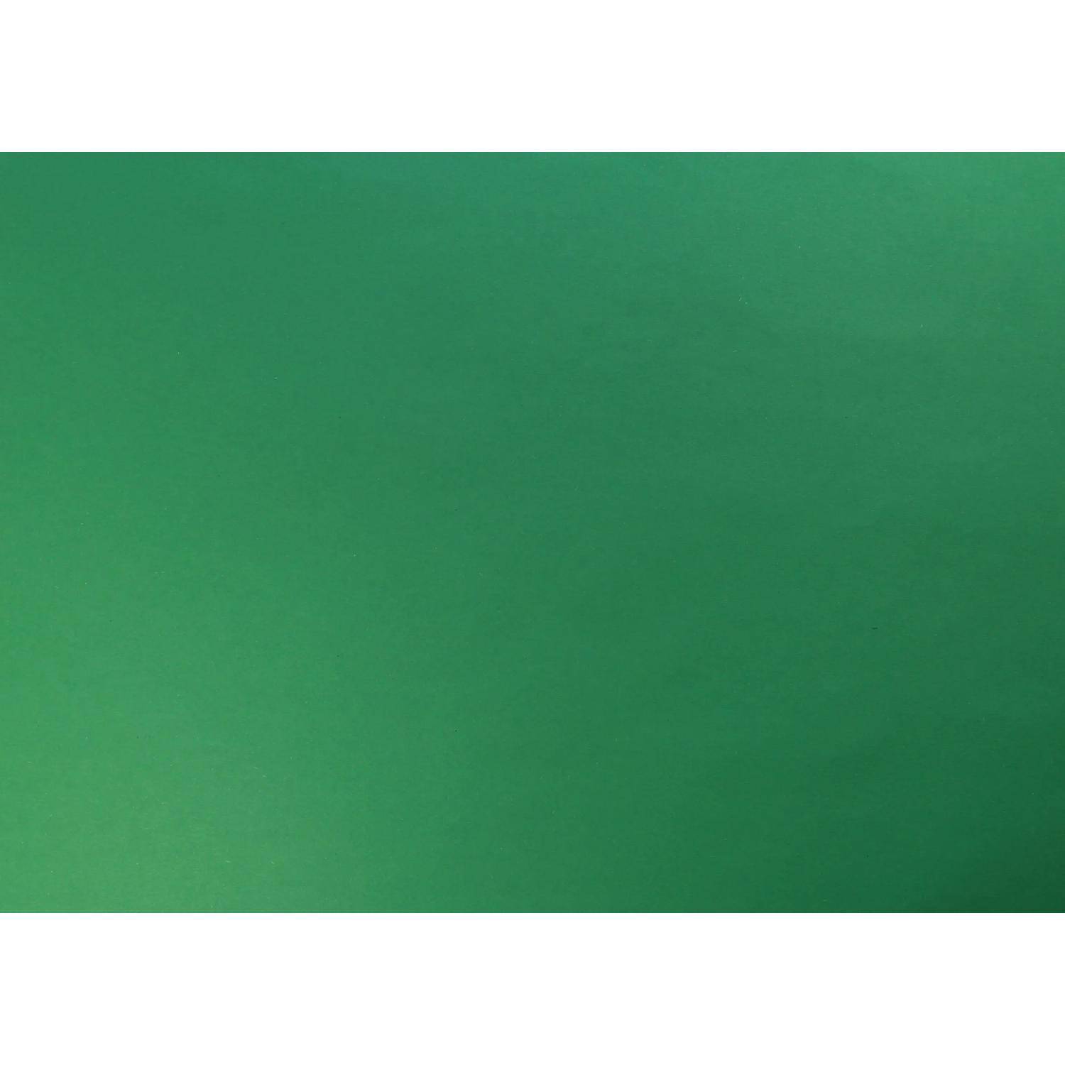 Clairefontaine Tonzeichenpapier Pack. 25 Bogen 50x65cm Imperialgrün 455350C