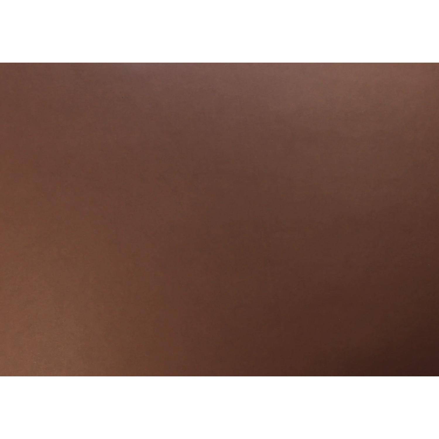 Clairefontaine Fotokarton Pack. 10 Bl .270g 50x65cm Schokoladenbraun 455573C