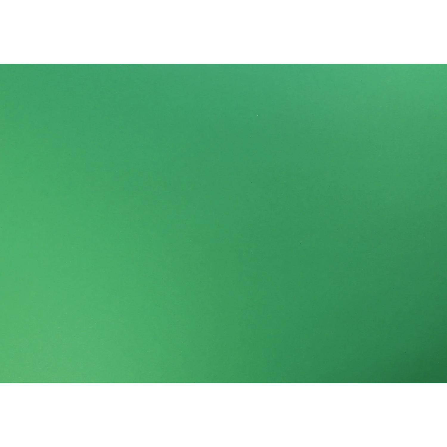 Clairefontaine Farbiges Tonzeichenpapier Pack. 25 Bogen 50x65cm Glasgrün 455374C