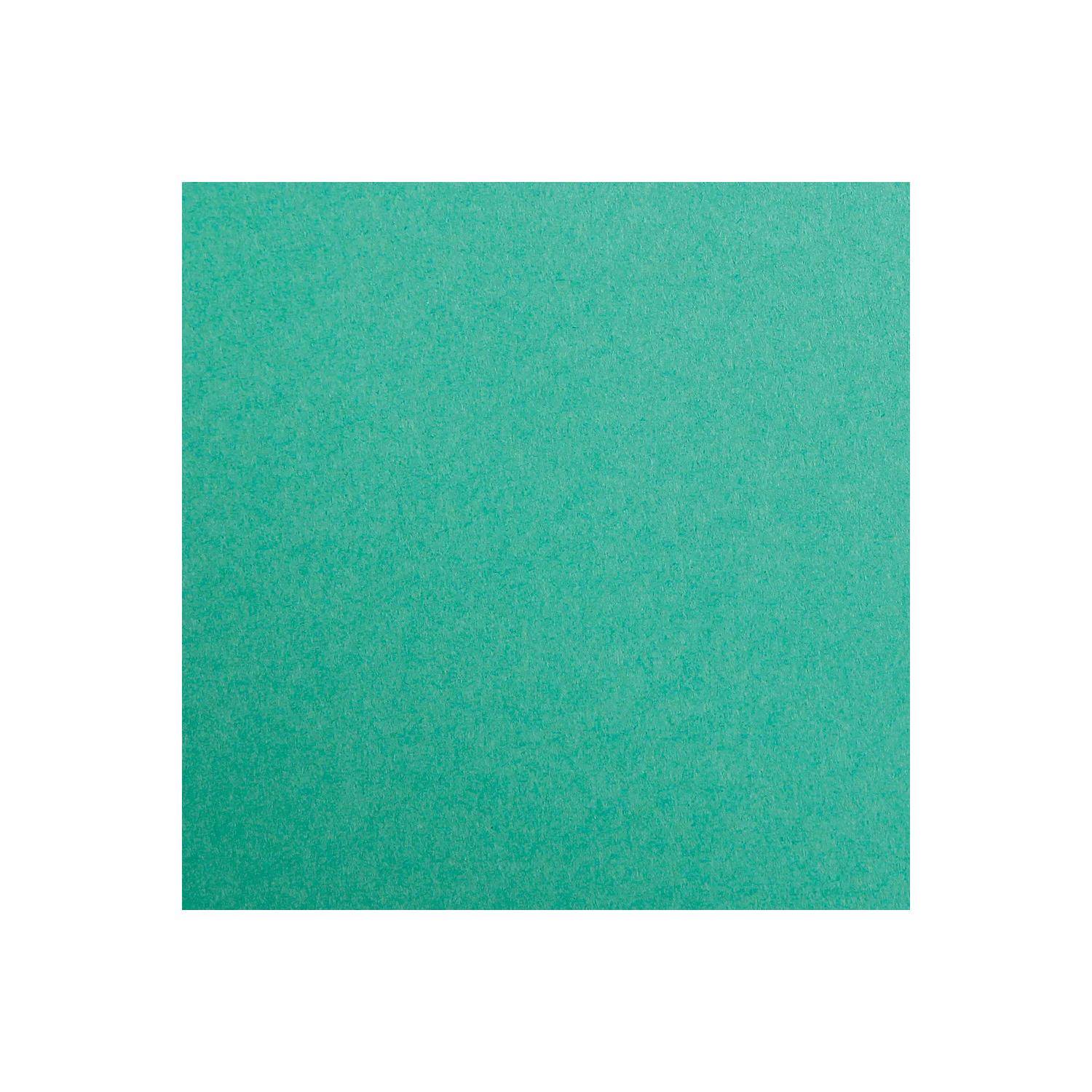 Clairefontaine Maya Fotokarton 50x70cm 270g 125 Bogen - Tannengrün 397251C