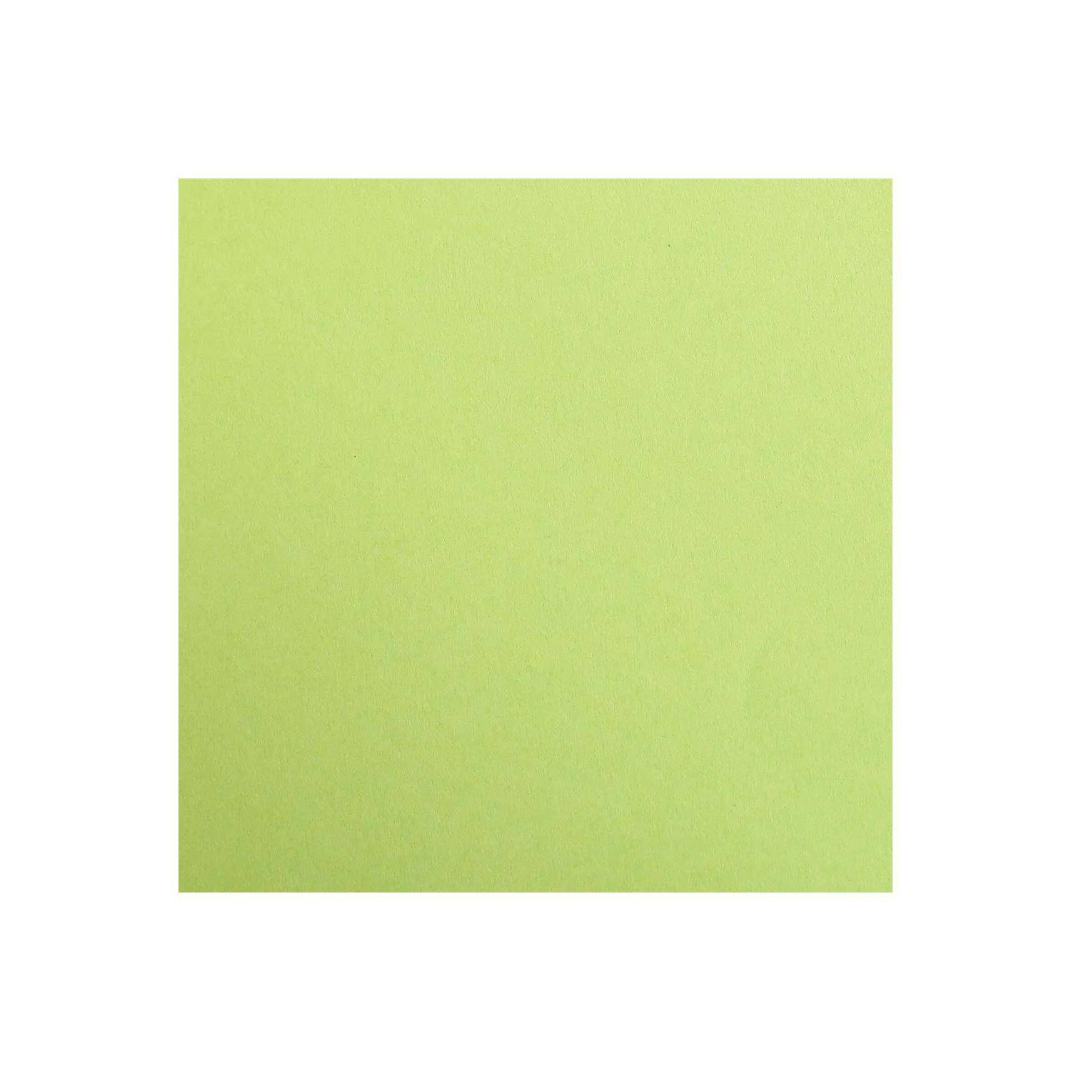 Clairefontaine Maya Fotokarton 50x70cm 270g 125 Bogen - Moosgrün 397252C